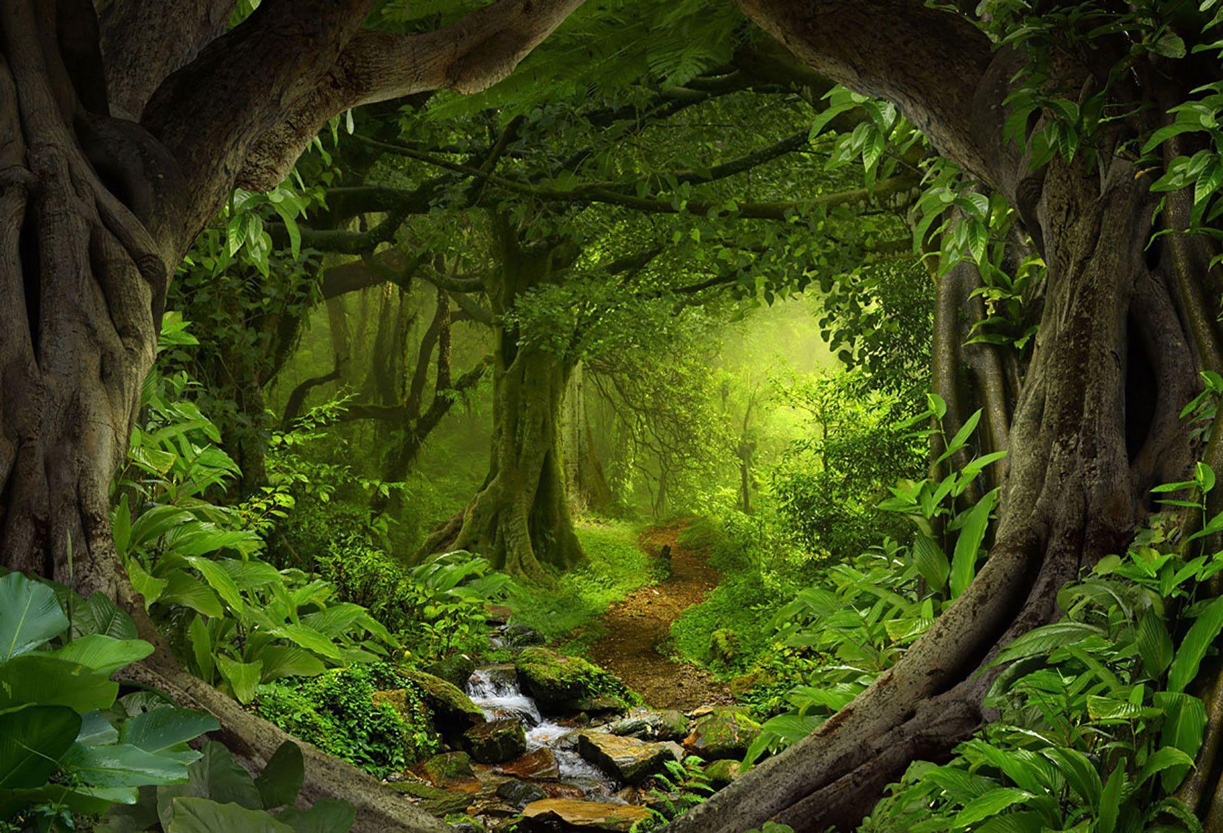 1760 x 1200 · jpeg - Fairy Tale Forest Background - 1760x1200 - Download HD Wallpaper ...