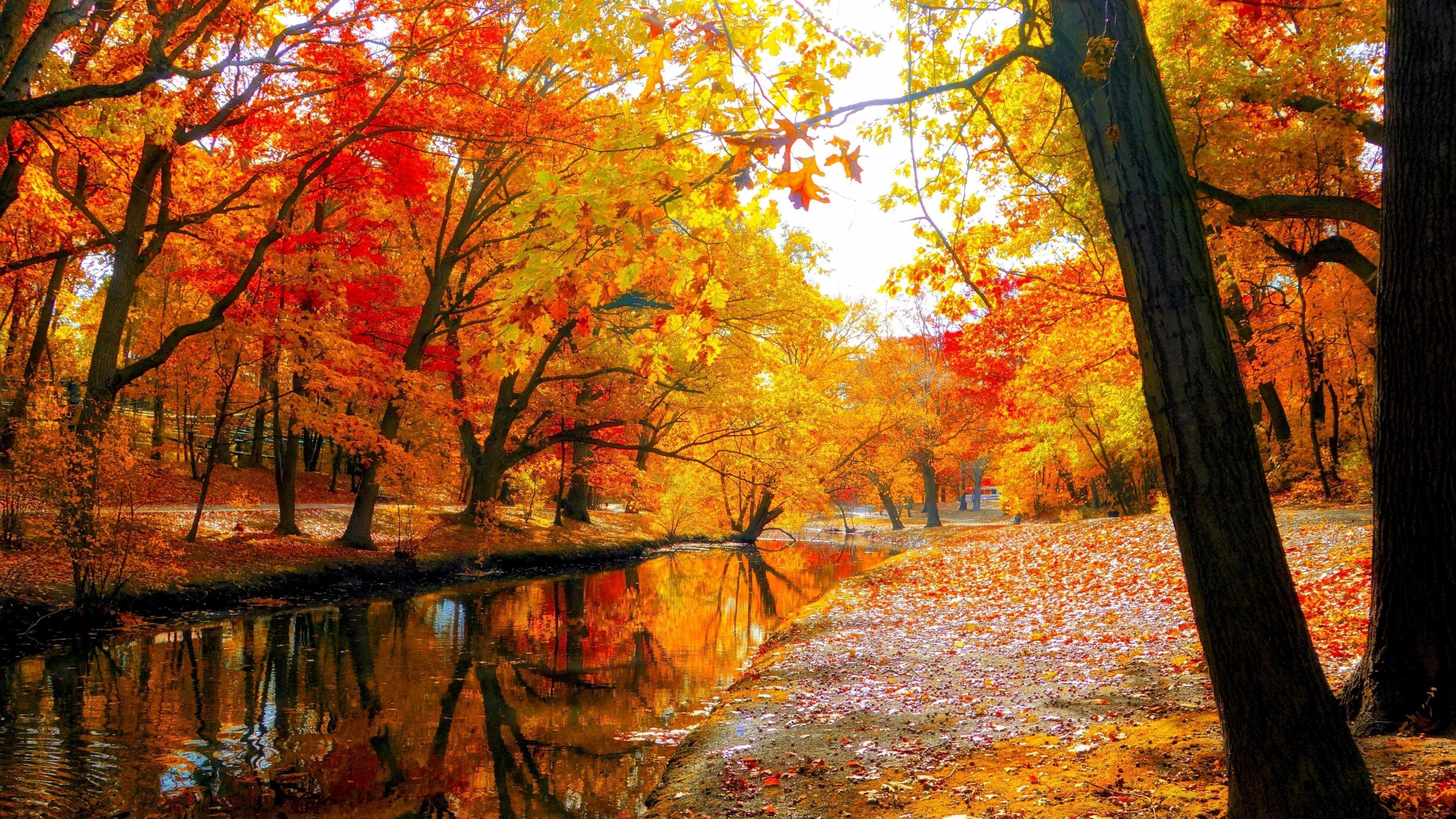 3840 x 2160 · jpeg - 3840 X 2160 Autumn Wallpapers - Top Free 3840 X 2160 Autumn Backgrounds ...