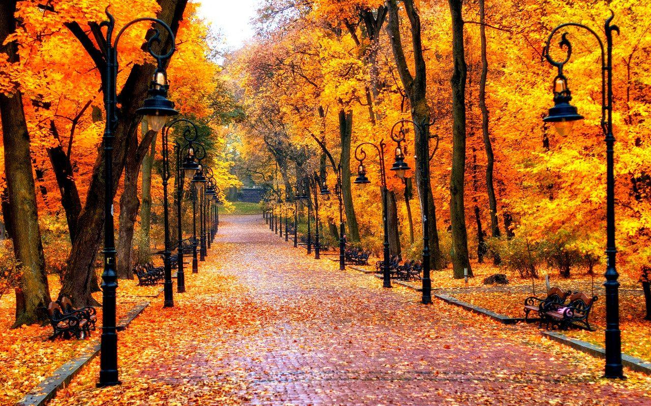 1280 x 800 · jpeg - Autumn Wallpaper: Beautiful Fall Wallpapers | Autumn leaves wallpaper ...