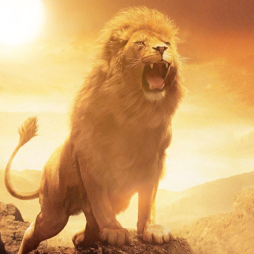 1024 x 1024 · jpeg - Image result for fierce lion | Fierce lion, Roaring lion tattoo, Lion ...