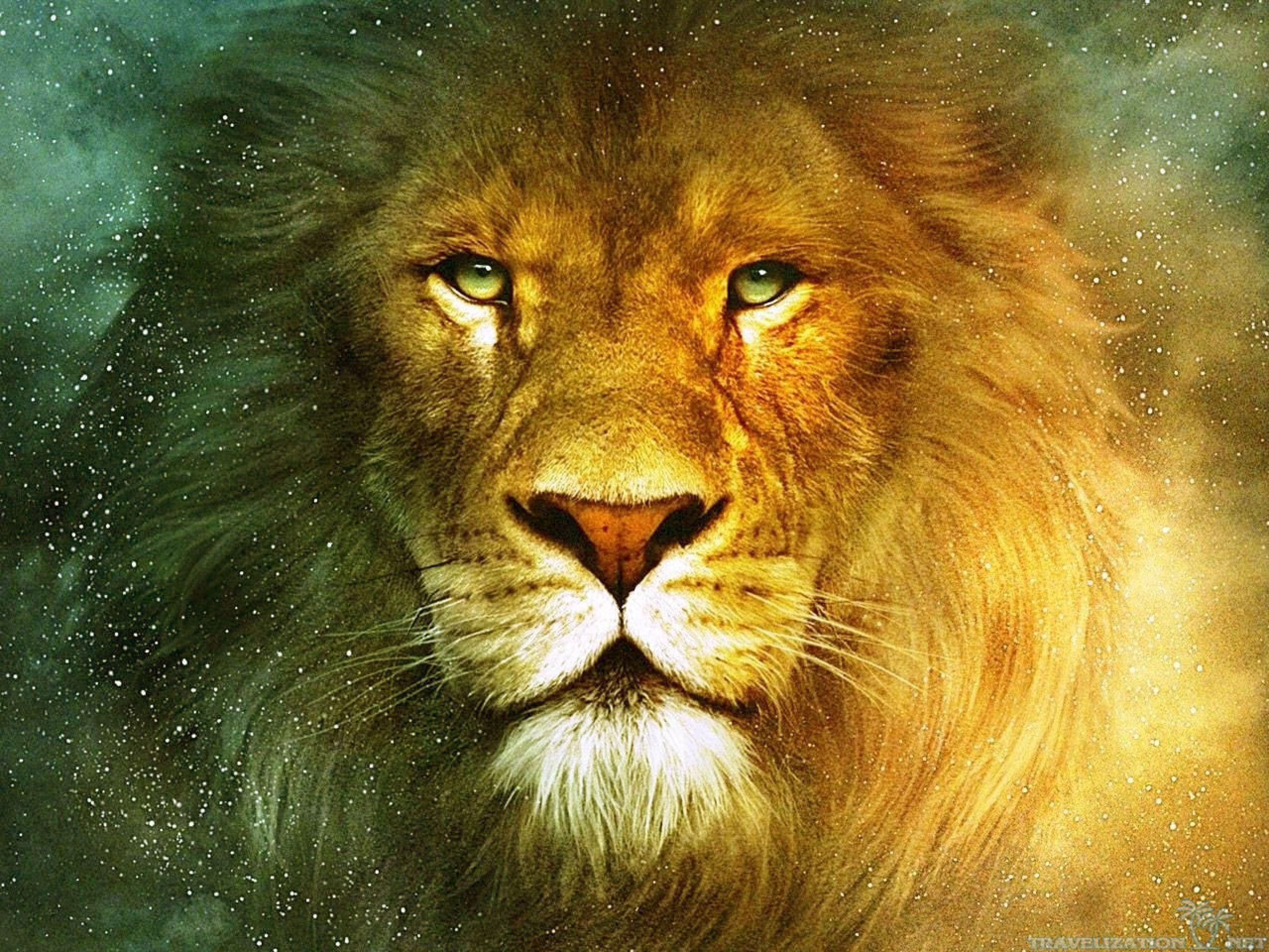2560 x 1920 · jpeg - Fierce Lion Wallpapers - Top Free Fierce Lion Backgrounds - WallpaperAccess
