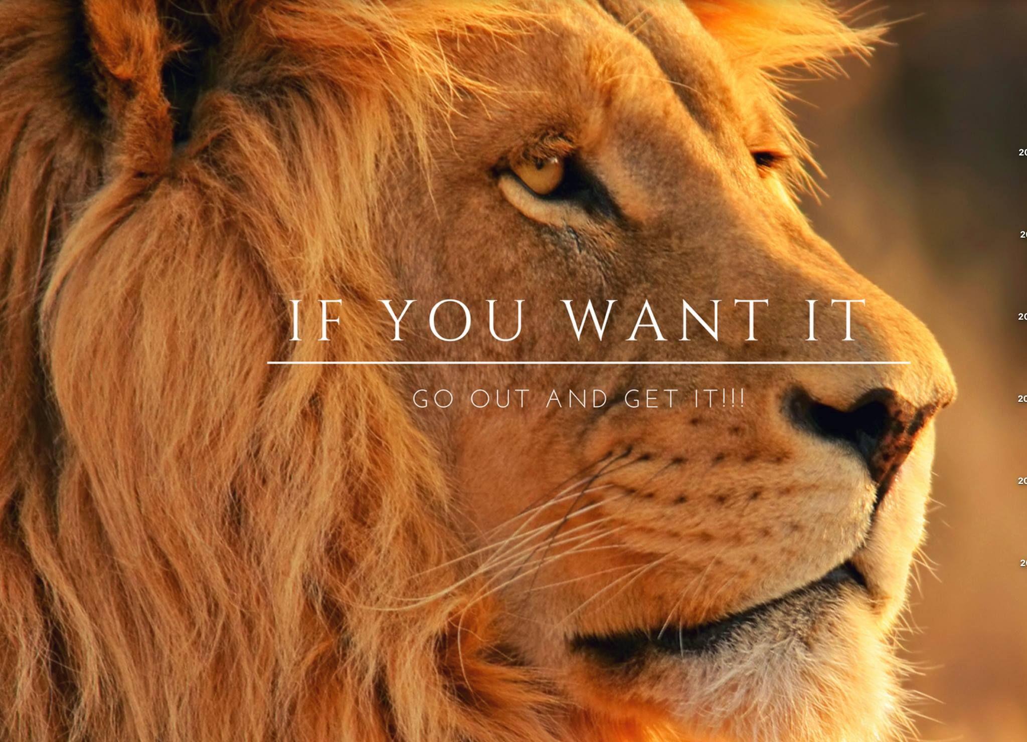 2048 x 1480 · jpeg - Beautiful, Fierce, Strong Lion #inspiration #determination #confidence ...