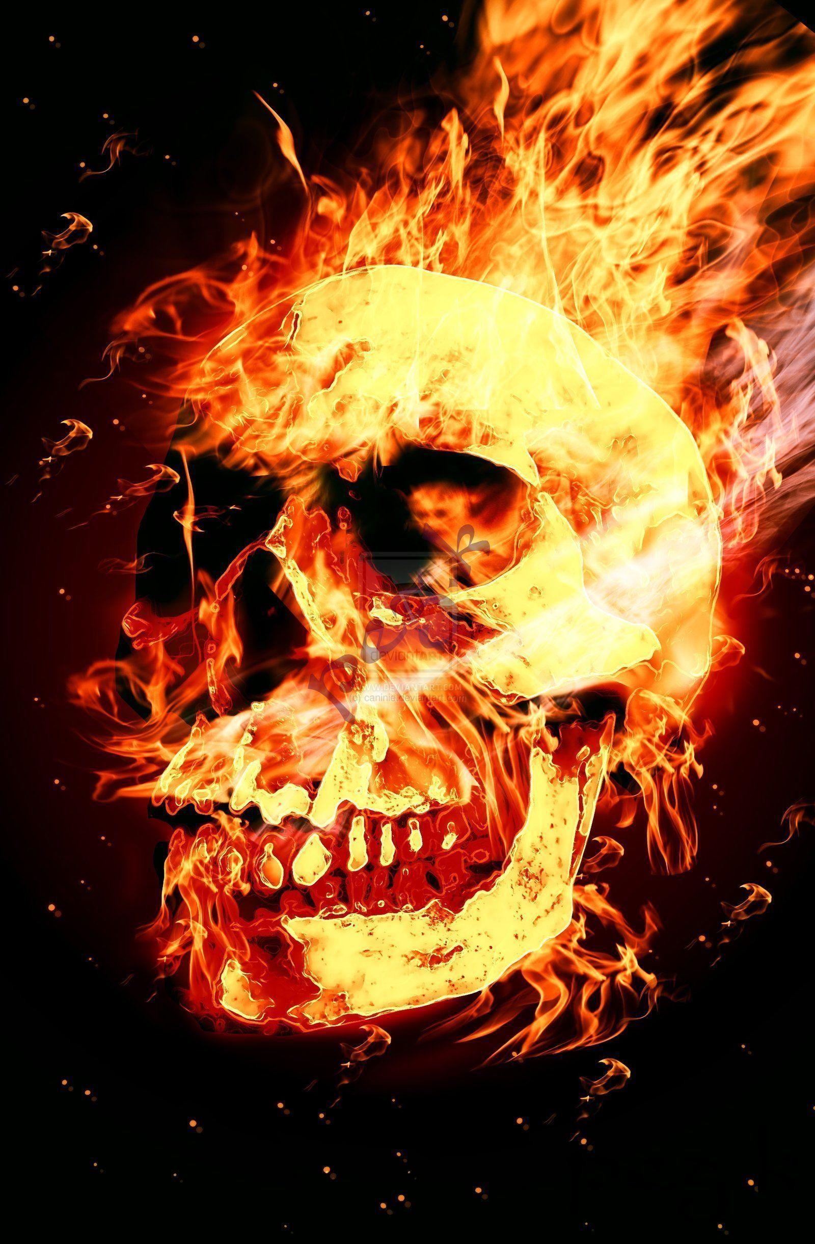 1600 x 2442 · jpeg - Flaming Skull Wallpapers (50+ images)