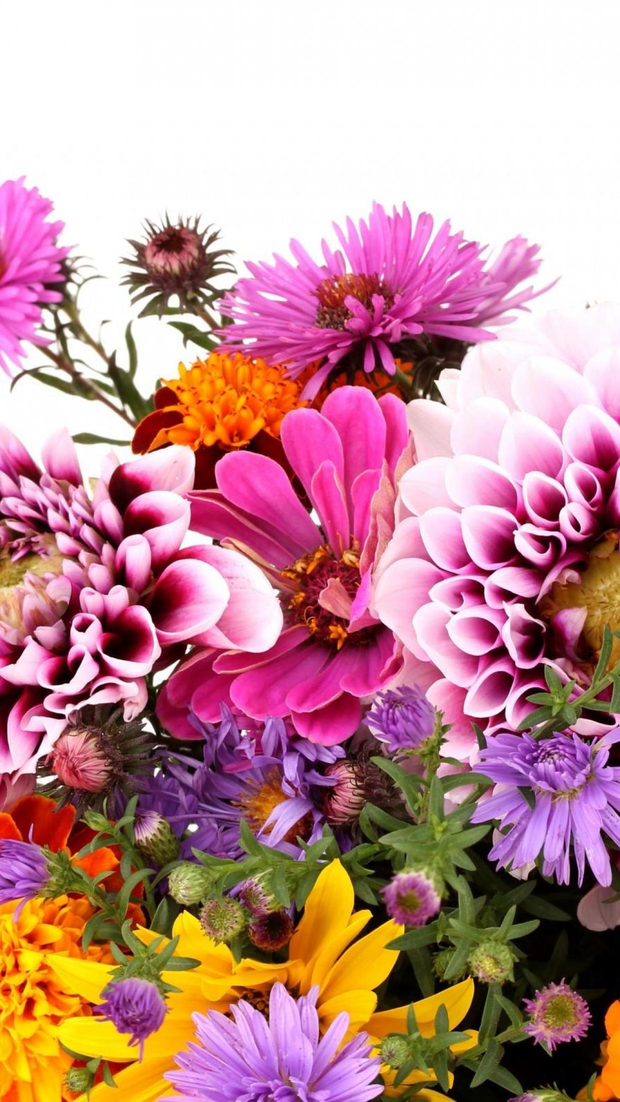 1242 x 2208 · jpeg - Floral Wallpaper iPhone | PixelsTalk