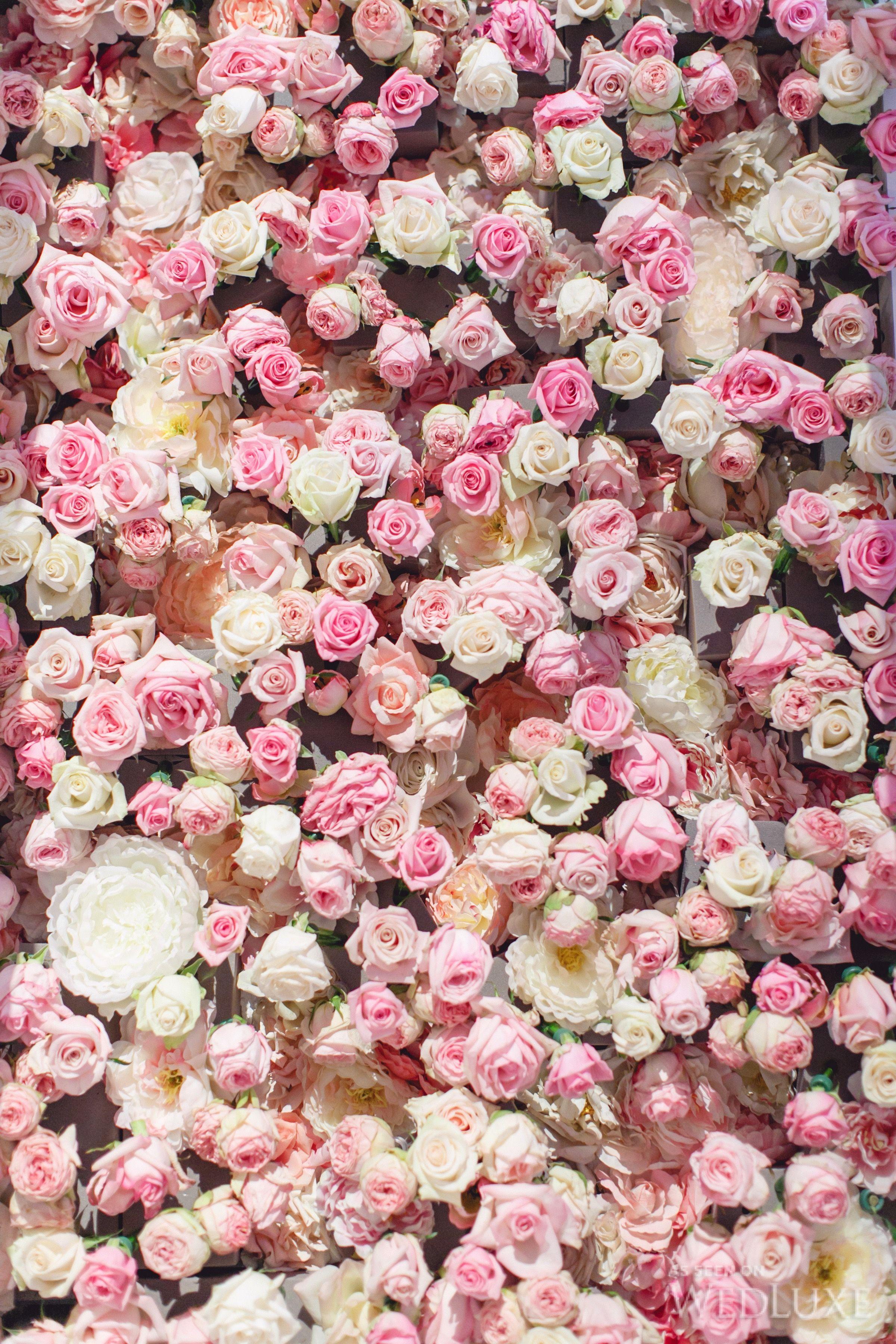 2400 x 3600 · jpeg - Vintage Rose Wallpapers - Wallpaper Cave