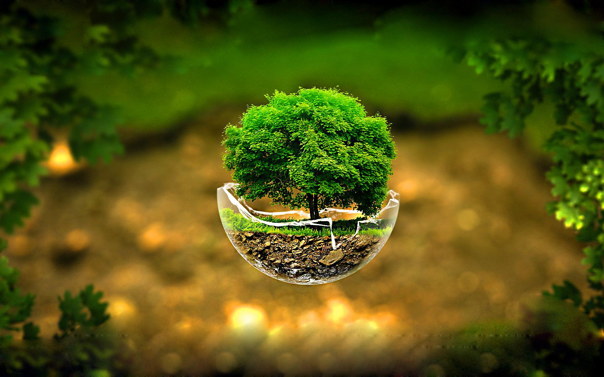 1920 x 1200 · jpeg - 3D Nature Images HD with Flying Tree on Broken Glass - HD Wallpapers ...