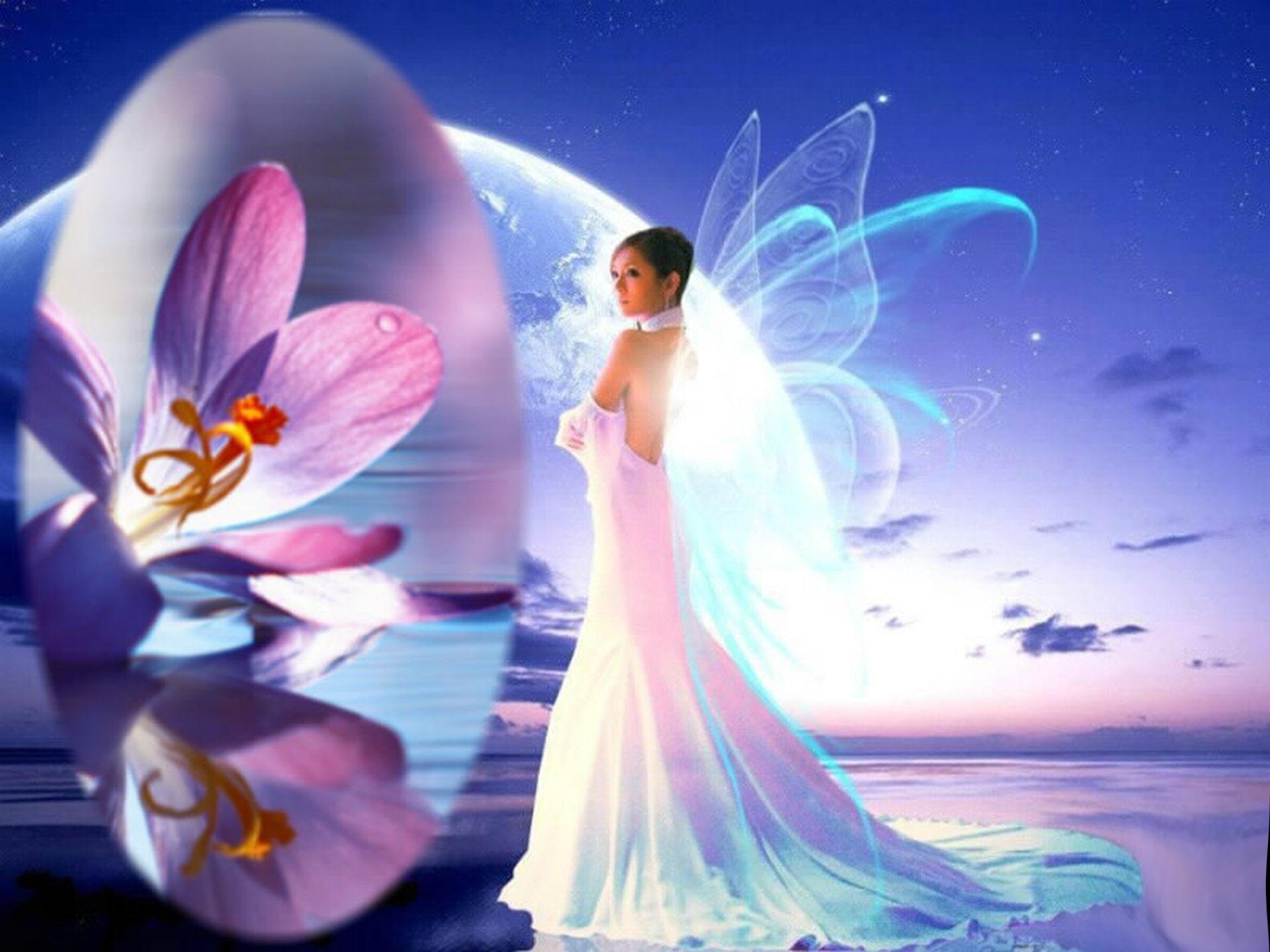 1920 x 1440 · jpeg - Fairies Screensavers and Wallpapers (54+ images)