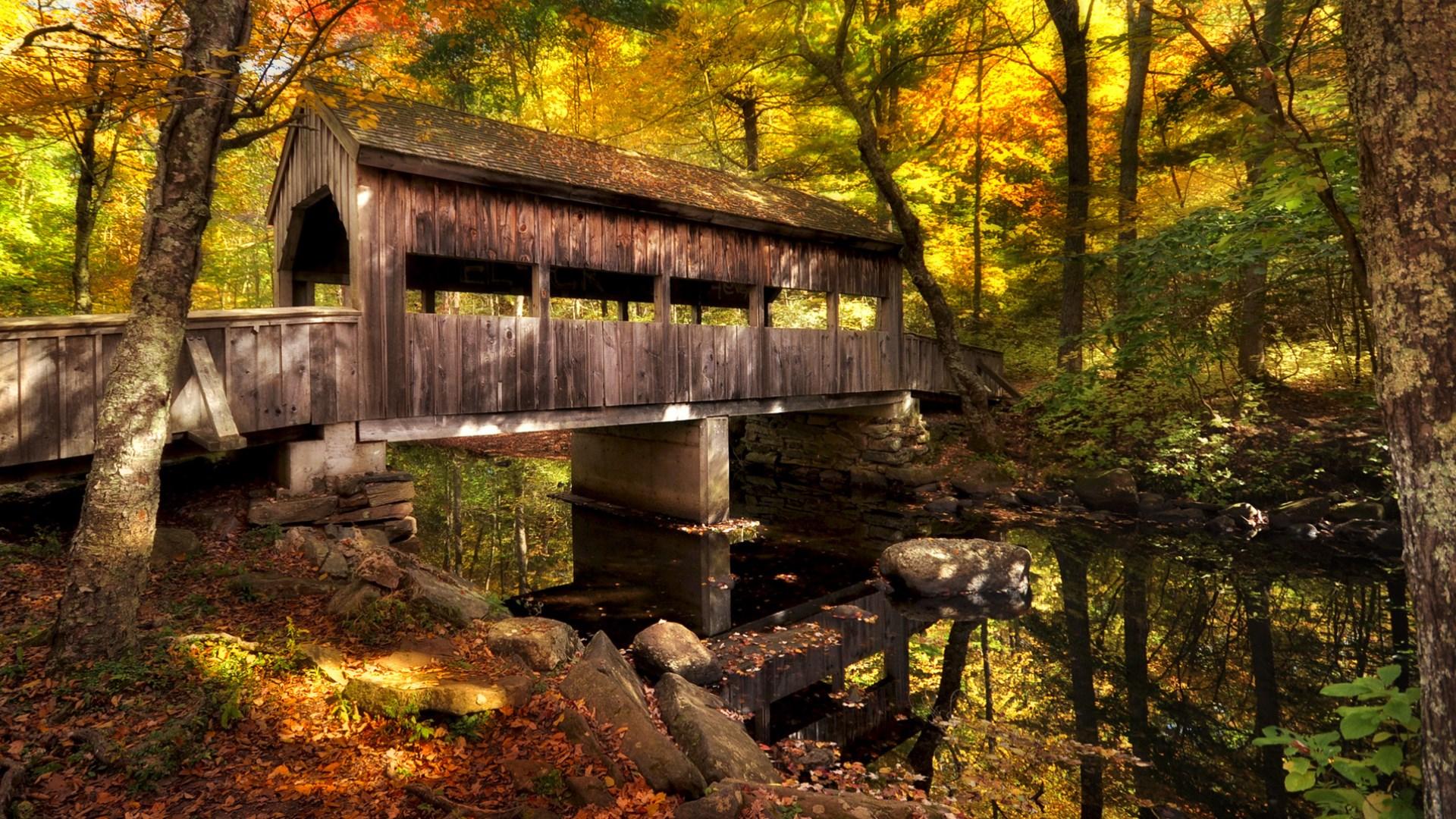 1920 x 1080 · jpeg - Microsoft celebrate the changing season with new free Bridges in Autumn ...