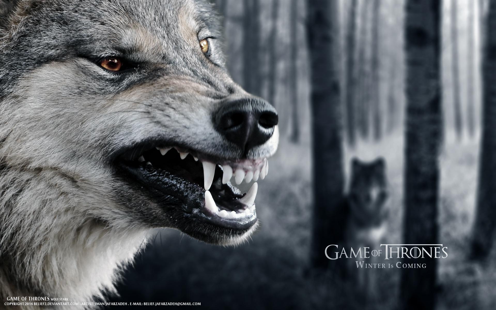 1920 x 1200 · jpeg - Wolf Stark Game of Thrones by belief2 on DeviantArt