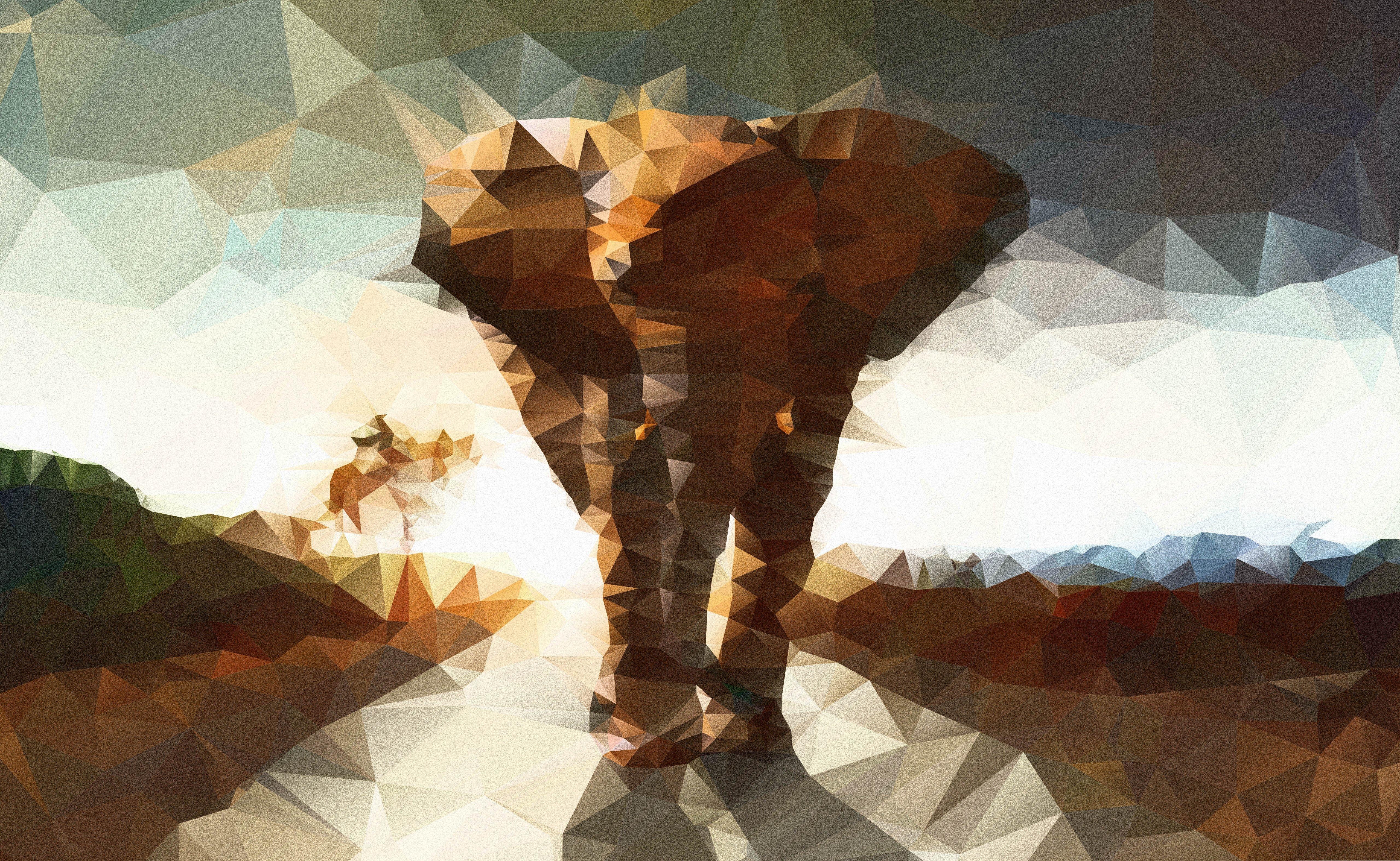 5120 x 3150 · jpeg - Polygon Elephant Wallpapers Images Photos Pictures Backgrounds