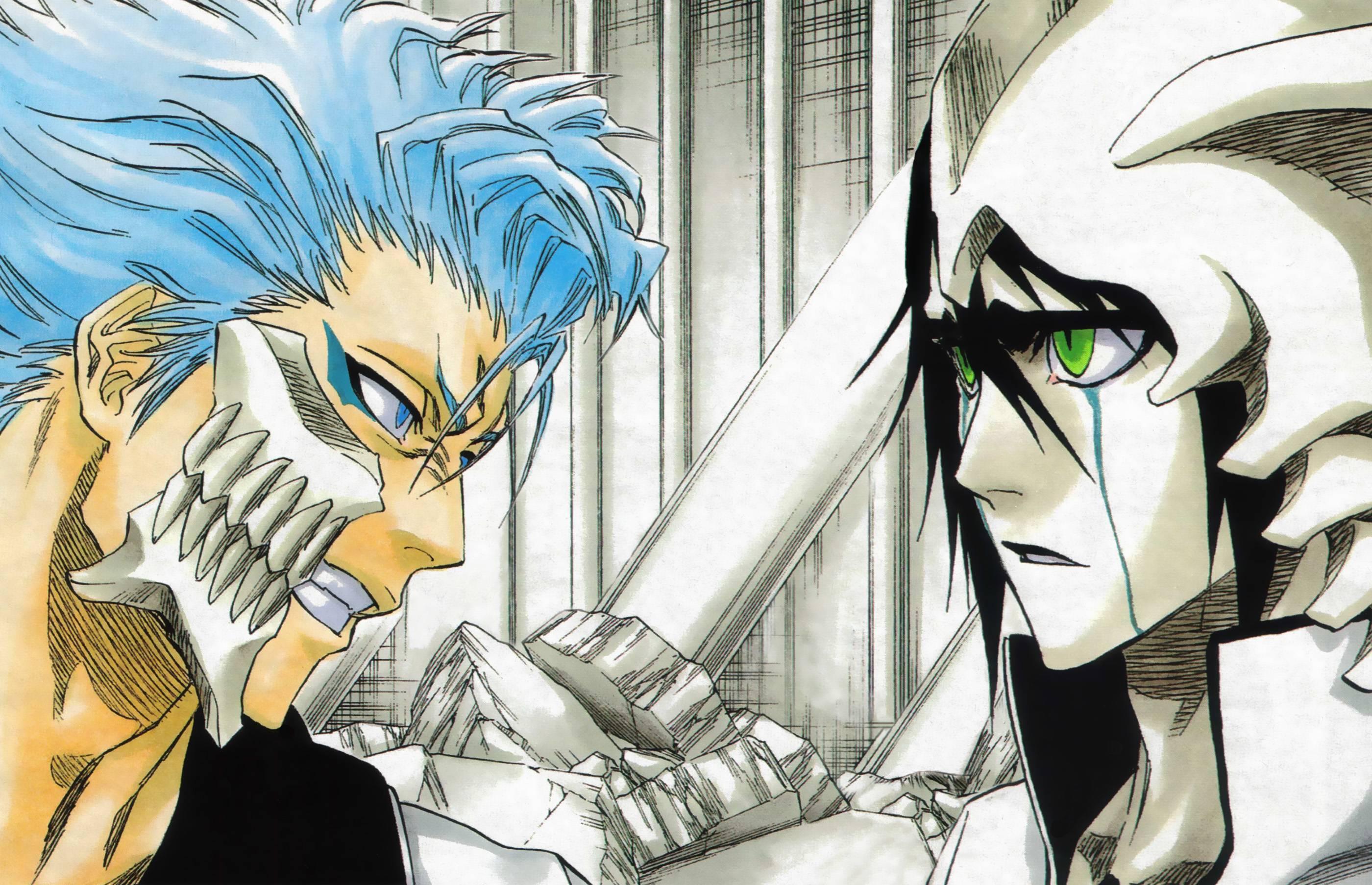 2800 x 1807 · jpeg - Grimmjow Jeagerjaques Wallpapers - Wallpaper Cave