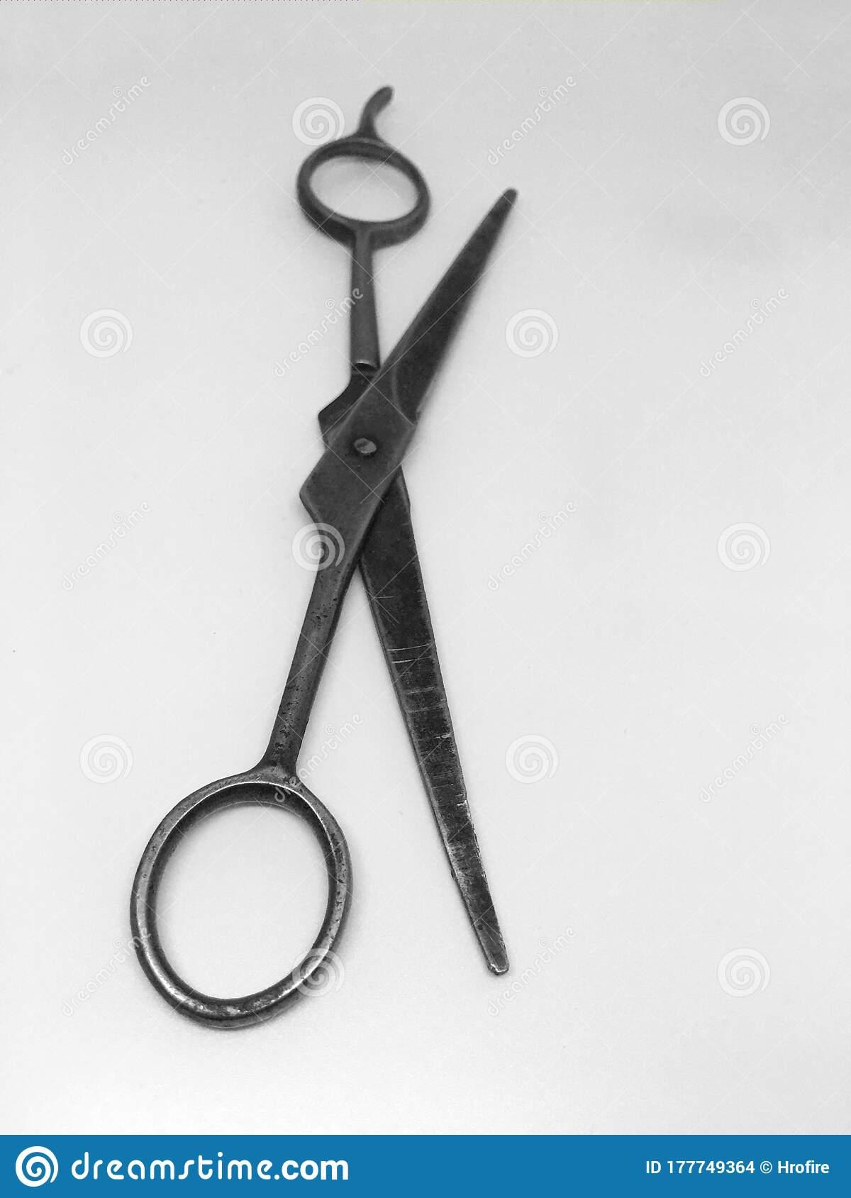 1200 x 1689 · jpeg - Crazy Hairdressing Scissors Fit For Beard Isolated On White Background ...