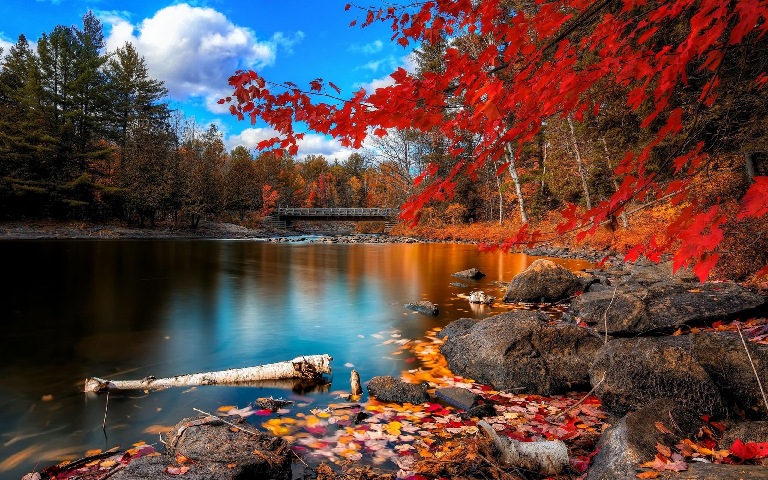 2560 x 1600 · jpeg - Nature Wallpapers Desktop Beautiful Widscreen Autumn Hd Wallpaper ...