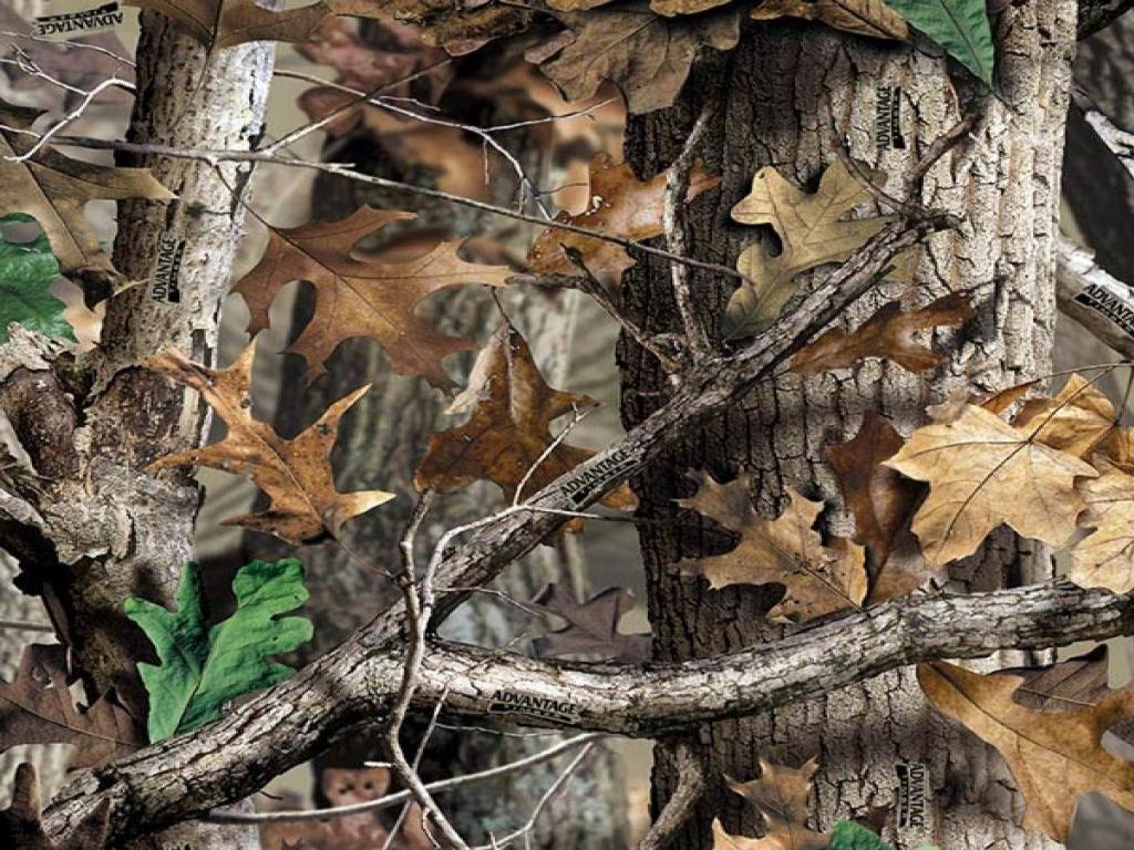 1024 x 768 · jpeg - Hunting Camo Wallpapers - Top Free Hunting Camo Backgrounds ...