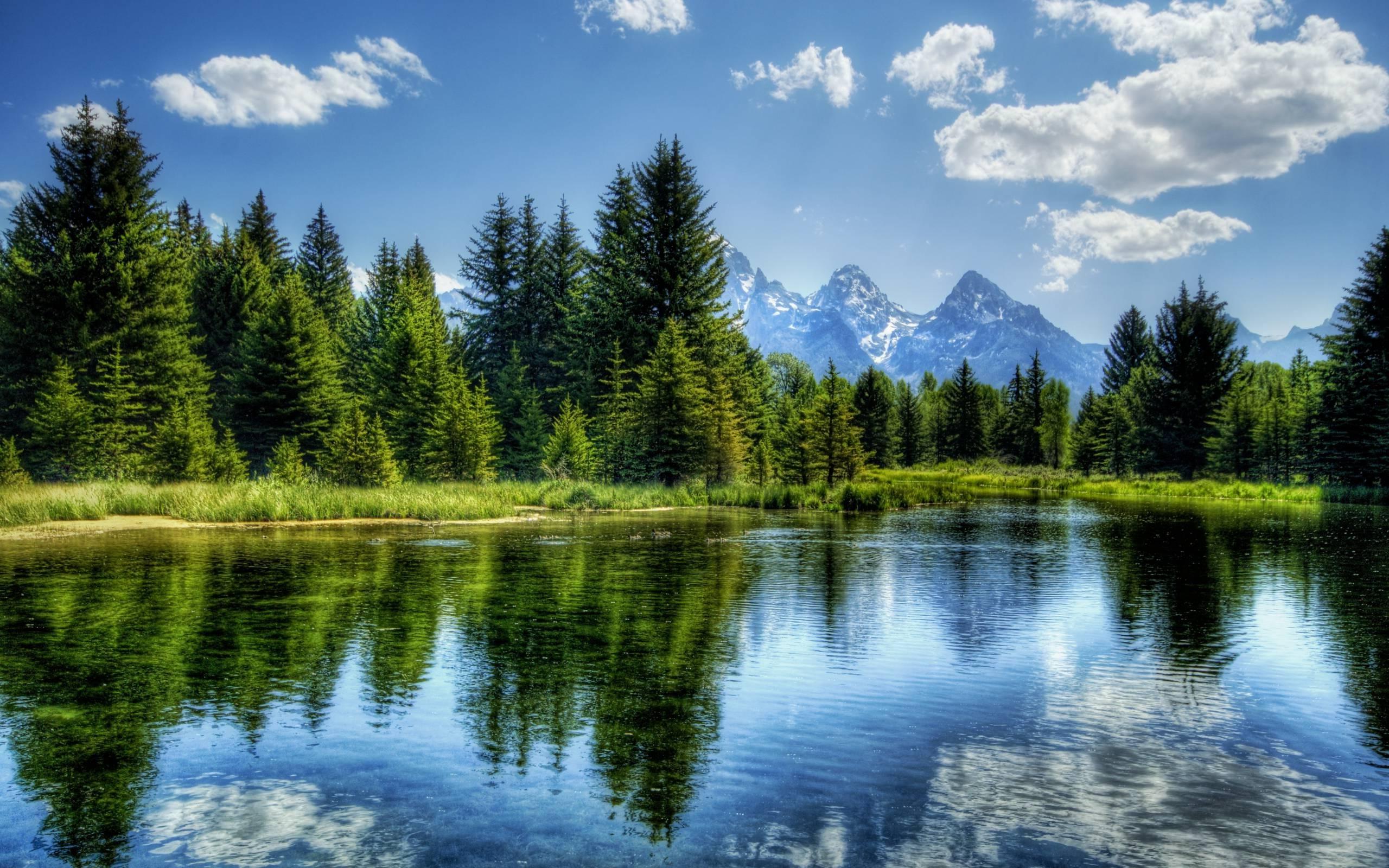 2560 x 1600 · jpeg - nature, HDR, River, Trees, Mountain, Landscape Wallpapers HD / Desktop ...