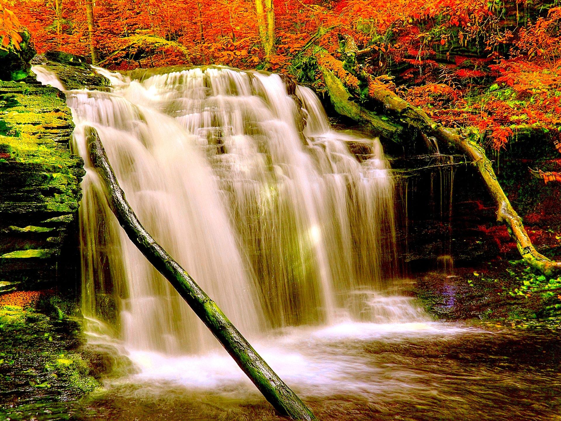 1920 x 1440 · jpeg - Autumn Forest Waterfall Nature Aiyumn Hd Background 2560x1600 ...
