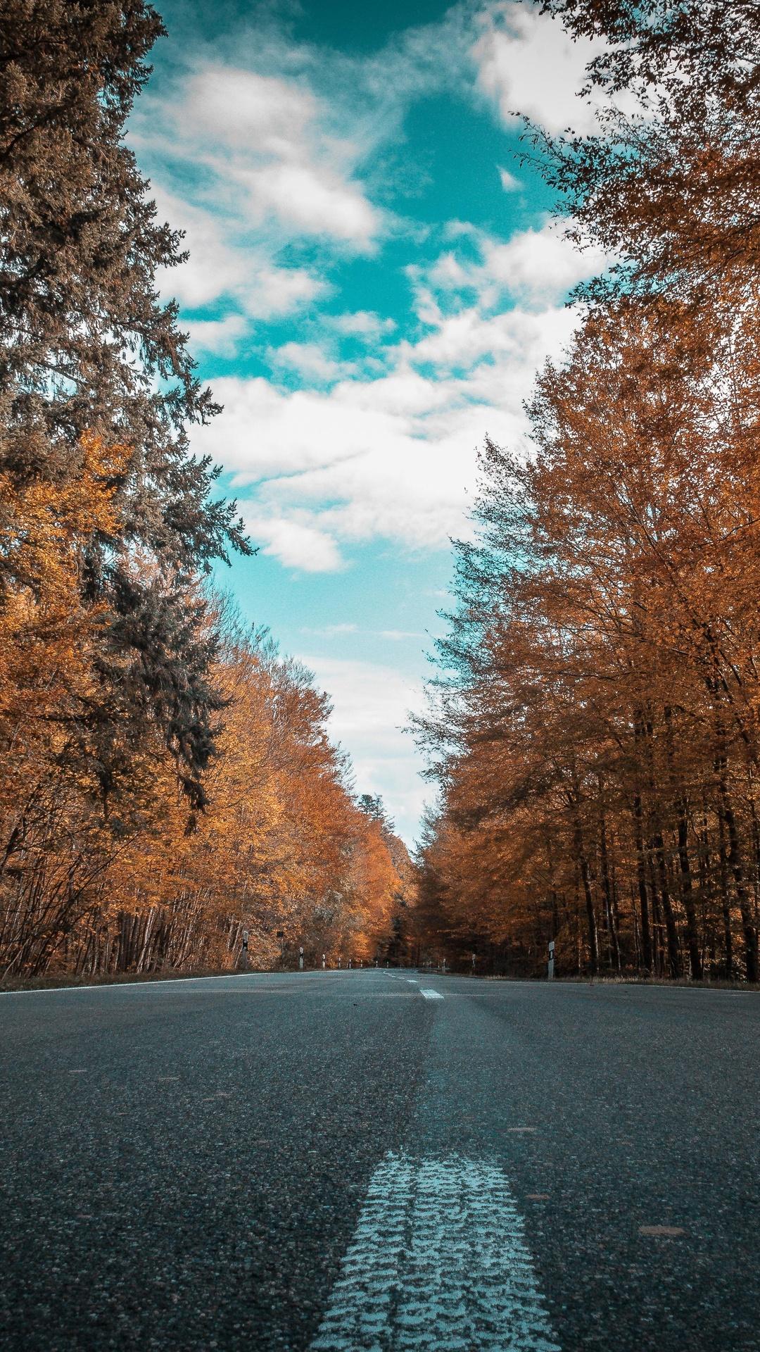 1080 x 1920 · jpeg - 1080x1920 Alone Road Forest Autumn Golden Trees Ultra 4k Iphone 7,6s,6 ...