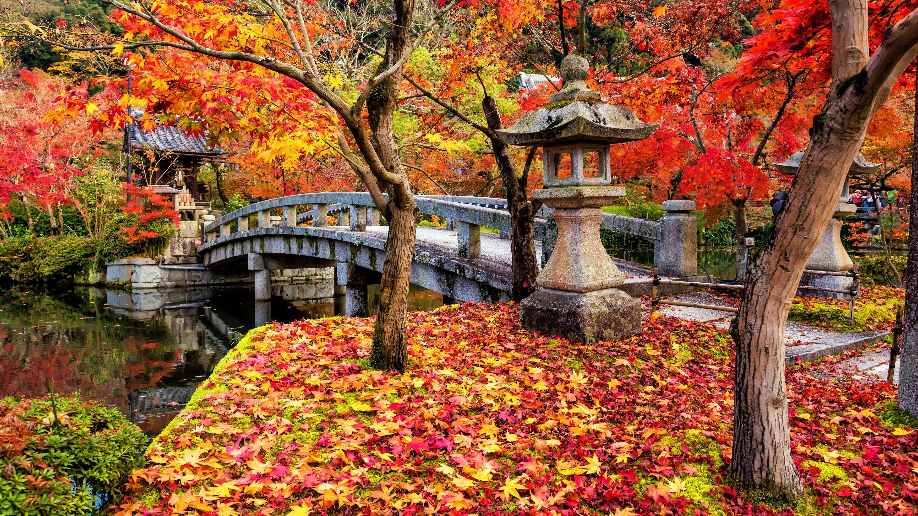 3840 x 2160 · jpeg - Bridge in Japan in Autumn 4k Ultra HD Wallpaper | Background Image ...