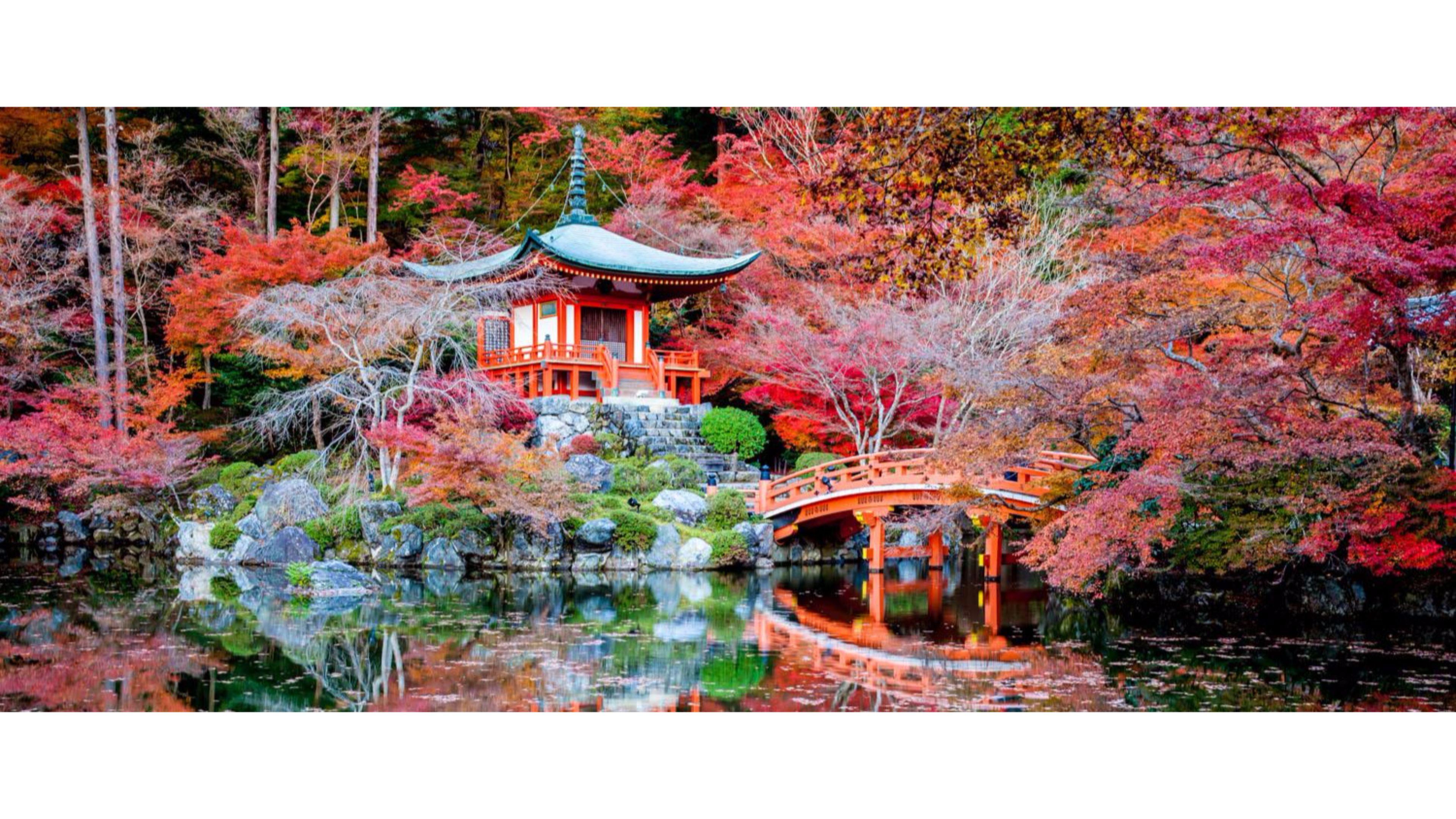 3840 x 2160 · jpeg - Japan 4K Wallpapers - Top Free Japan 4K Backgrounds - WallpaperAccess