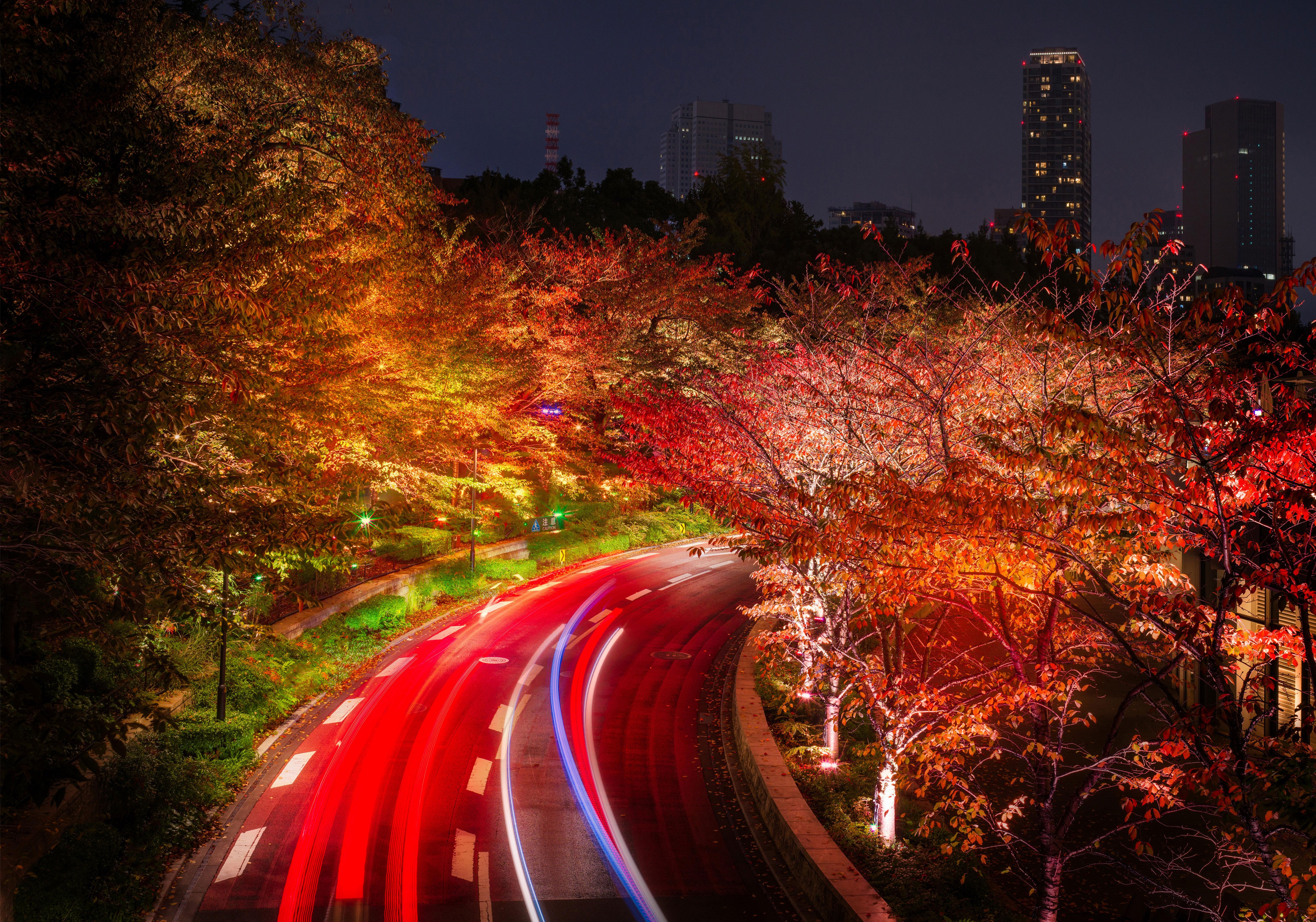 6000 x 4205 · jpeg - Japan Tokyo Roads Autumn Trees Night, HD Nature, 4k Wallpapers, Images ...