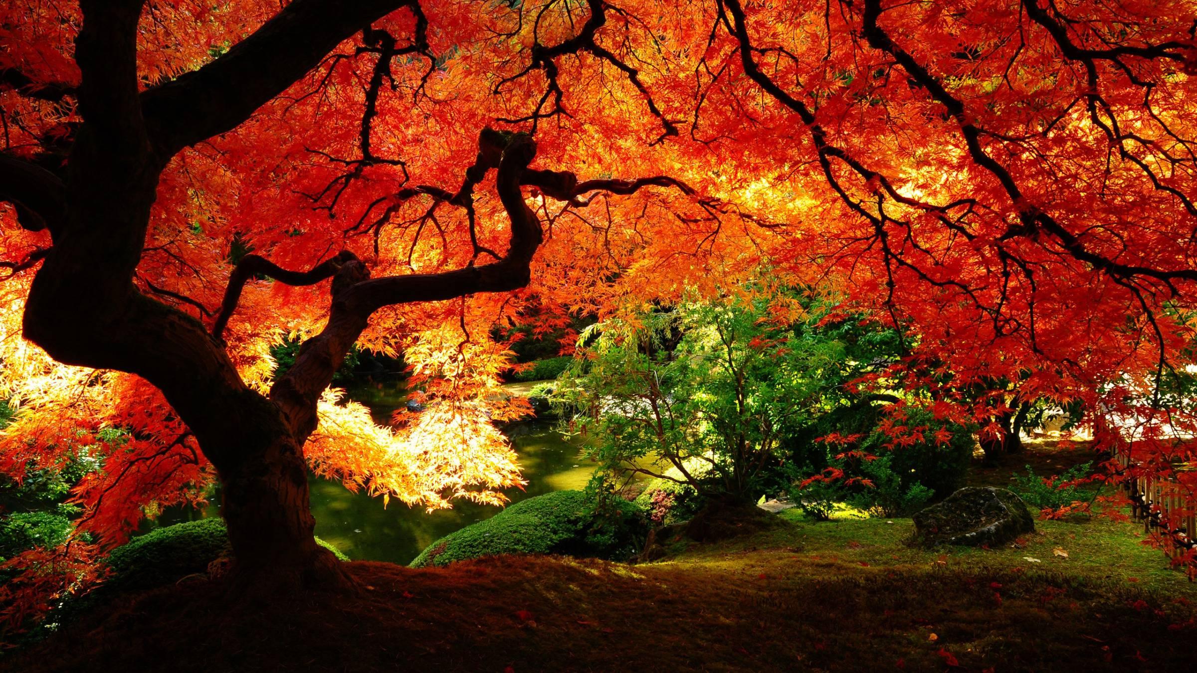 2400 x 1350 · jpeg - Japanese Scenery Wallpapers - Wallpaper Cave
