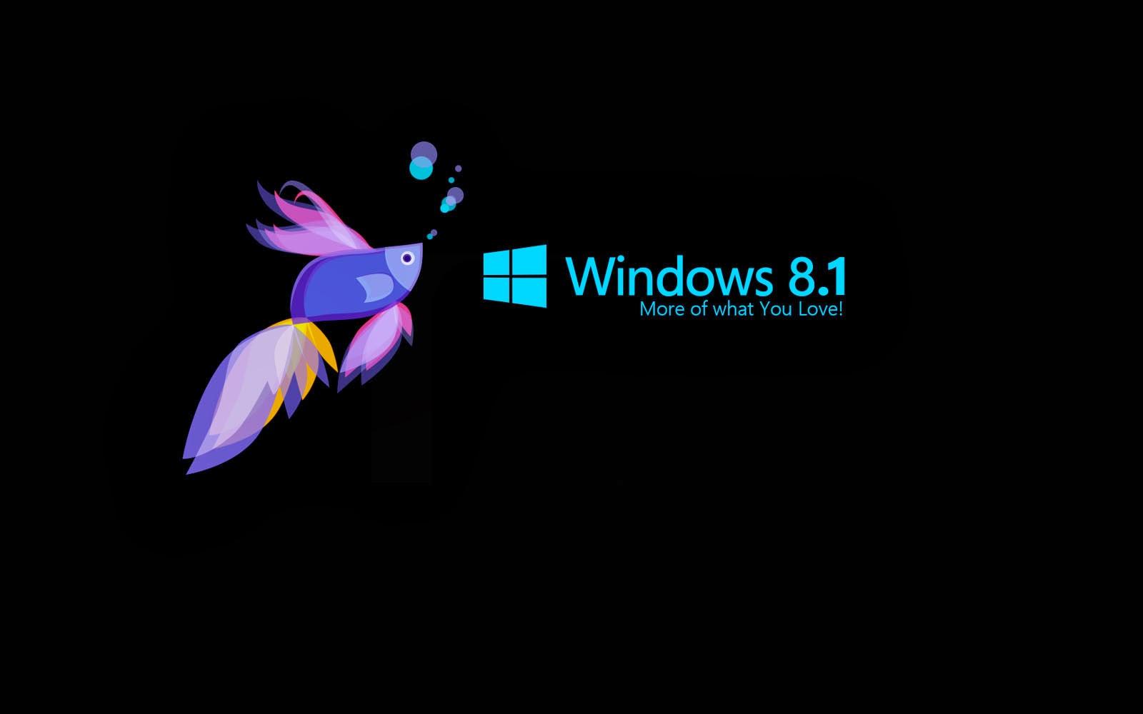 1600 x 1000 · jpeg - Windows 8.1 Wallpapers, Pictures, Images
