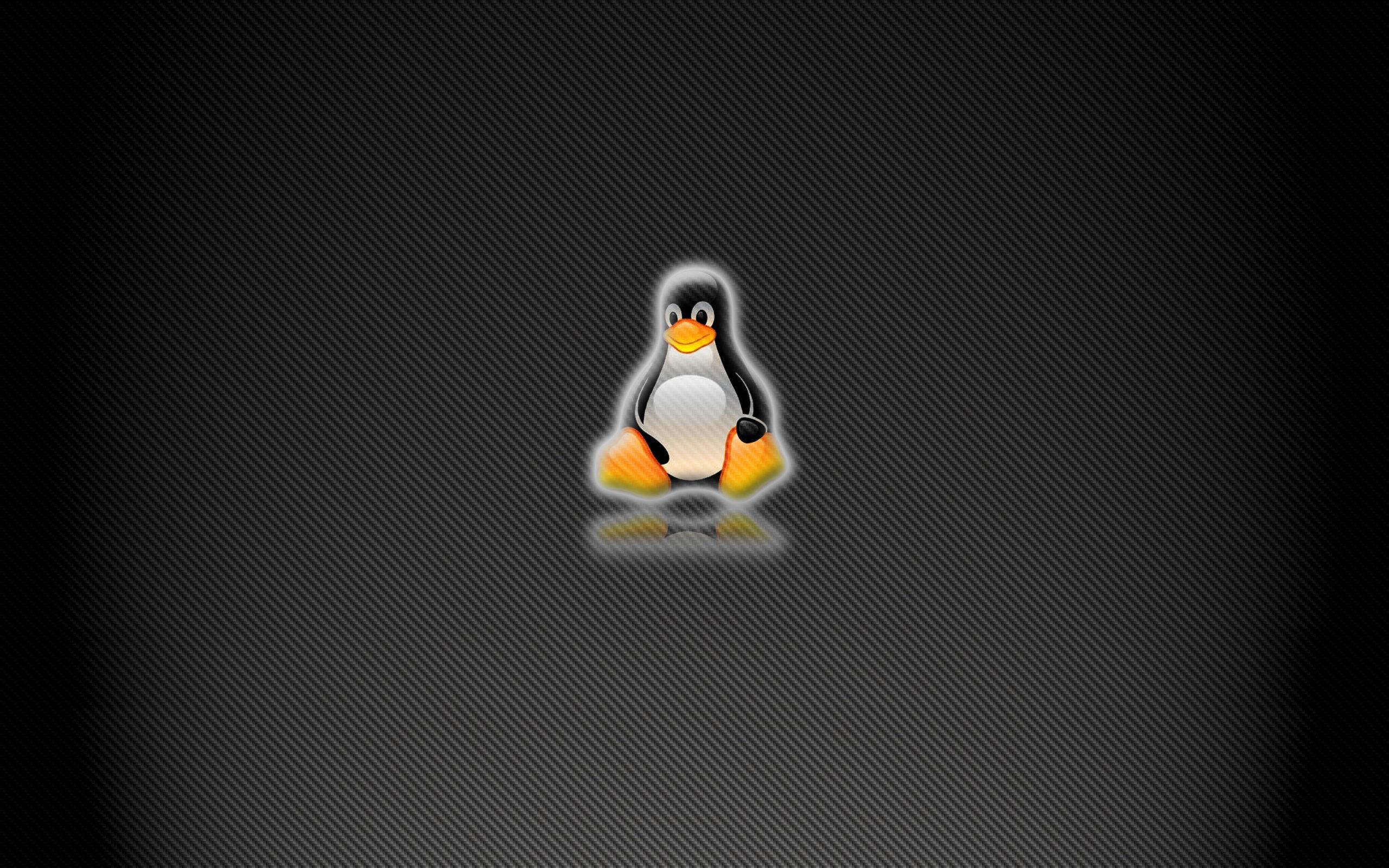 2560 x 1600 · jpeg - Download 45 Awesome Linux Wallpapers