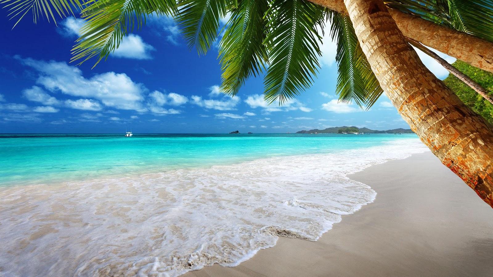1600 x 900 · jpeg - Beach Live Wallpaper - Android Apps on Google Play
