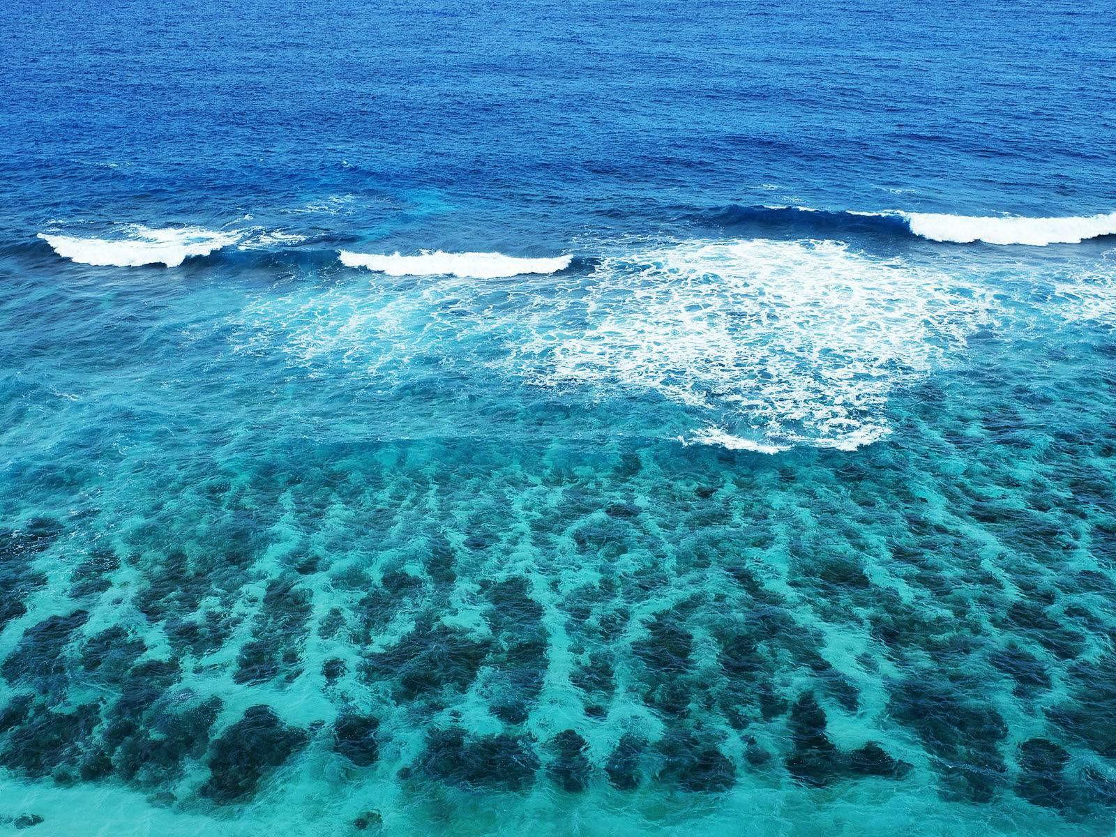 1600 x 1200 · jpeg - [49+] Live Ocean Waves Wallpapers on WallpaperSafari