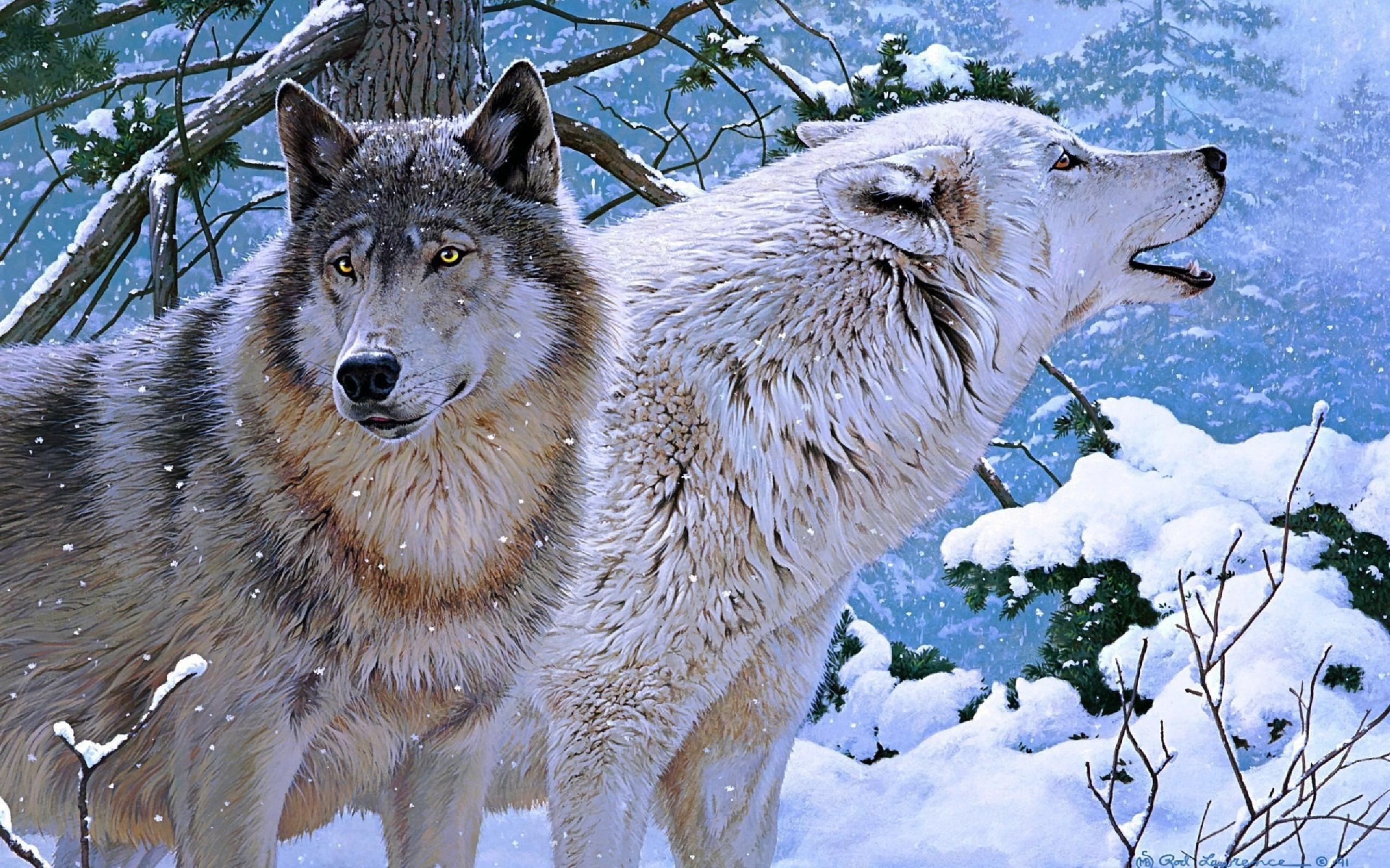 2560 x 1600 · jpeg - Wolf Wallpapers, Pictures, Images