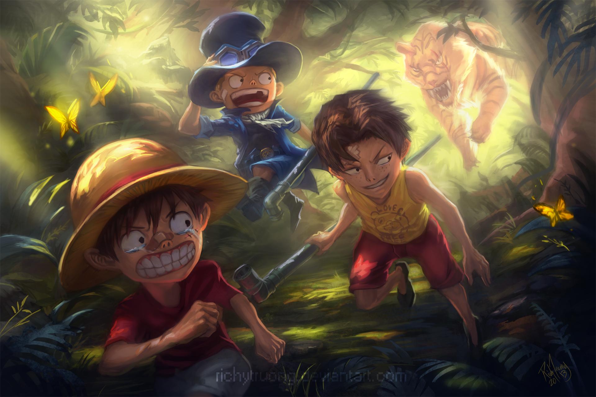 1920 x 1280 · png - One Piece Luffy, Ace And Sabo Wallpaper Hd : HD wallpaper: one piece ...
