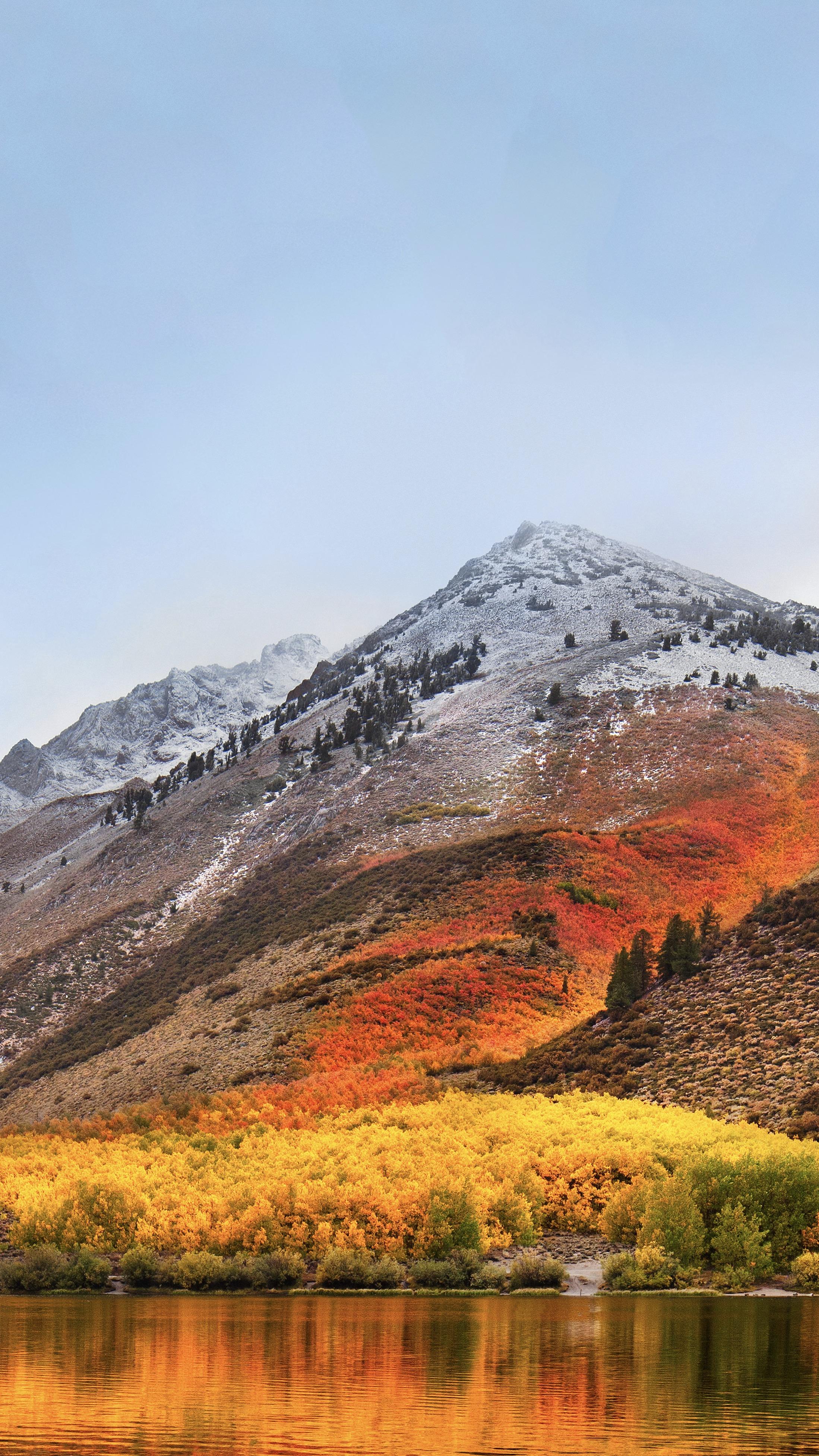 2198 x 3910 · jpeg - Download The macOS High Sierra Wallpaper For iPhone, iPad And Mac