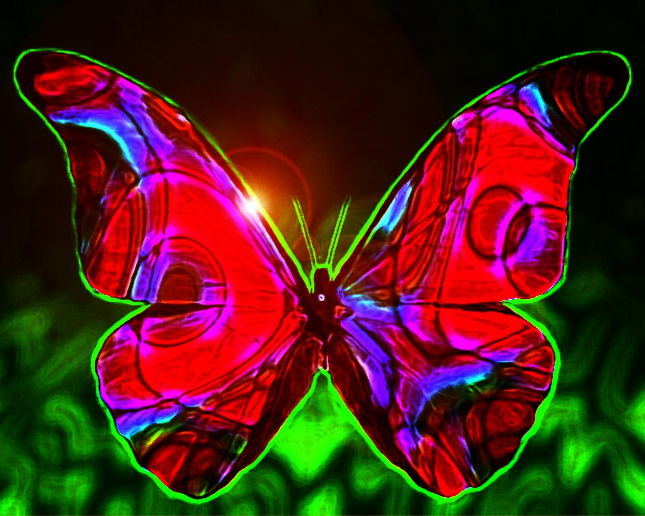 1280 x 1024 · jpeg - Beautiful Butterfly Wallpapers for Desktop - WallpaperSafari