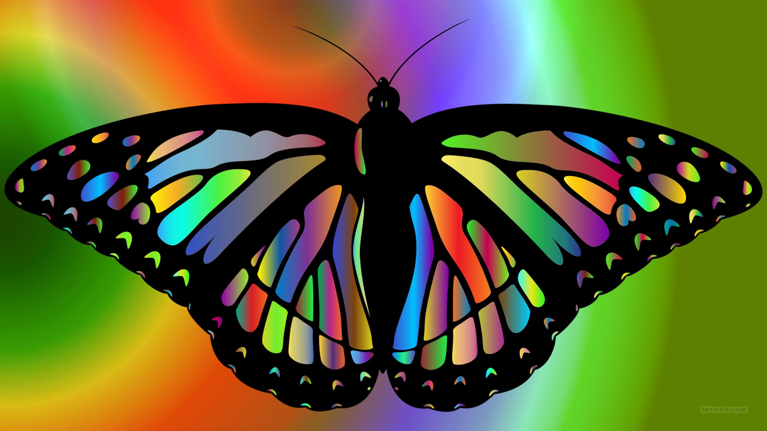 2560 x 1440 · jpeg - The Most Beautiful Butterflies in the World  SFBKK