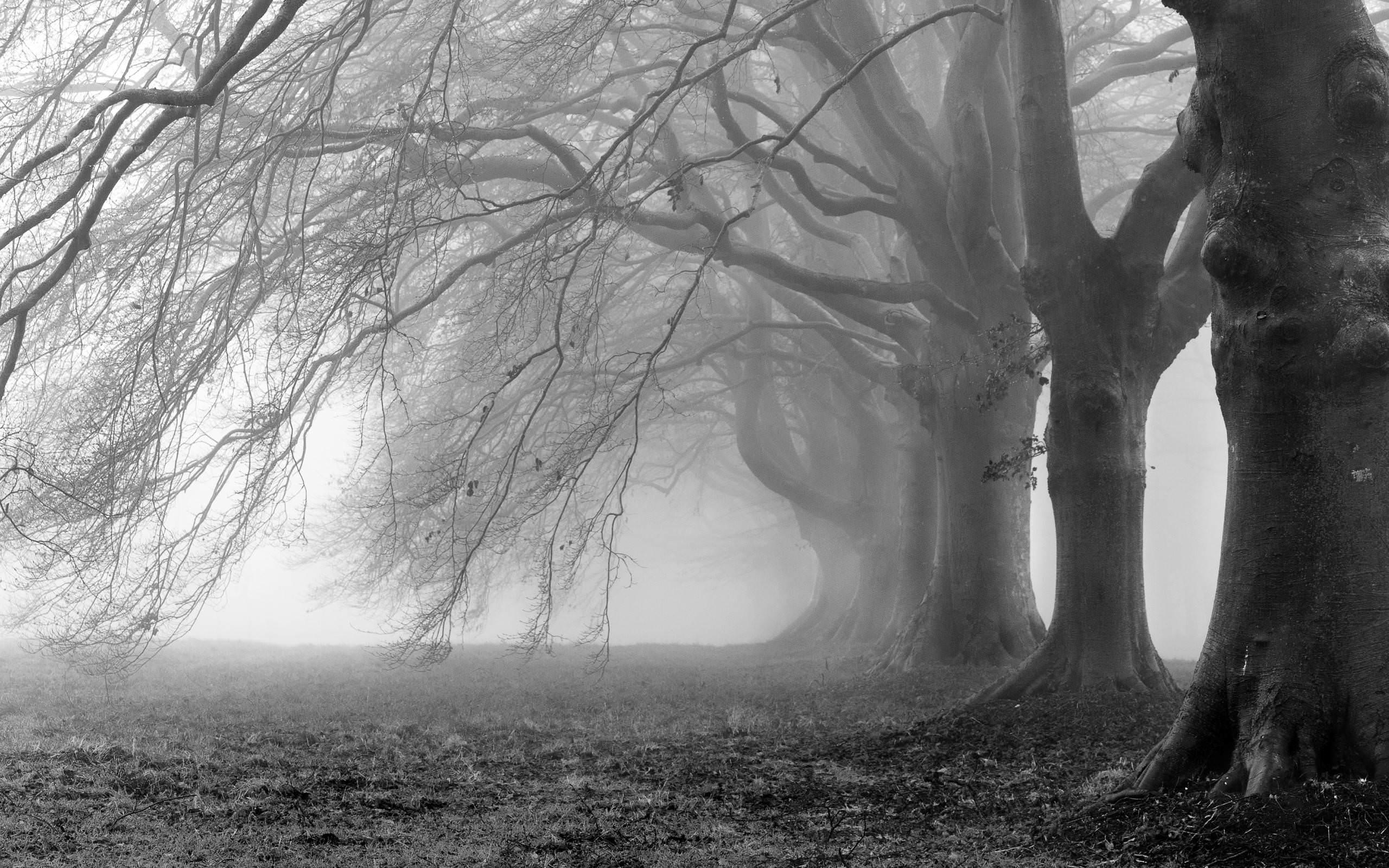 2560 x 1600 · jpeg - 28+ Creepy Backgrounds, Wallpapers, Images, Pictures | Design Trends ...