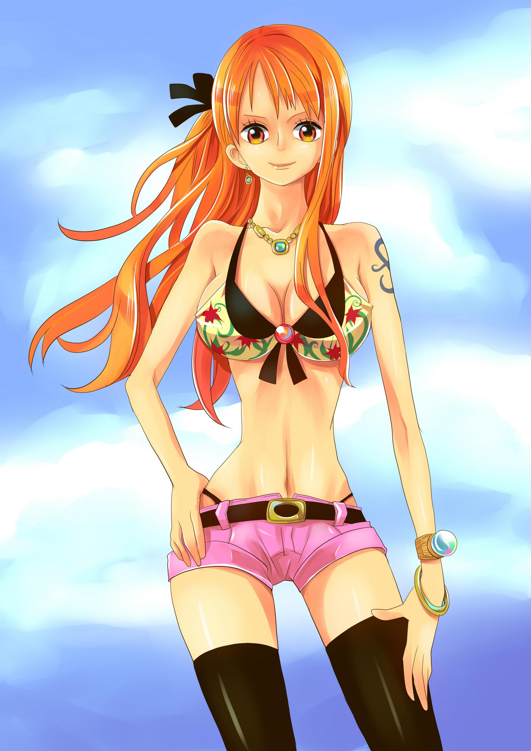 1810 x 2560 · jpeg - Free download One Piece Nami Wallpaper 72 images [1920x1200] for your ...
