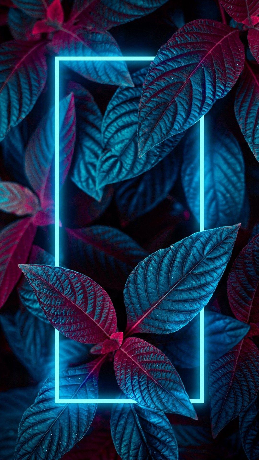 1080 x 1920 · jpeg - Paper walls neon plants | Iphone wallpaper photos, Cool wallpapers for ...