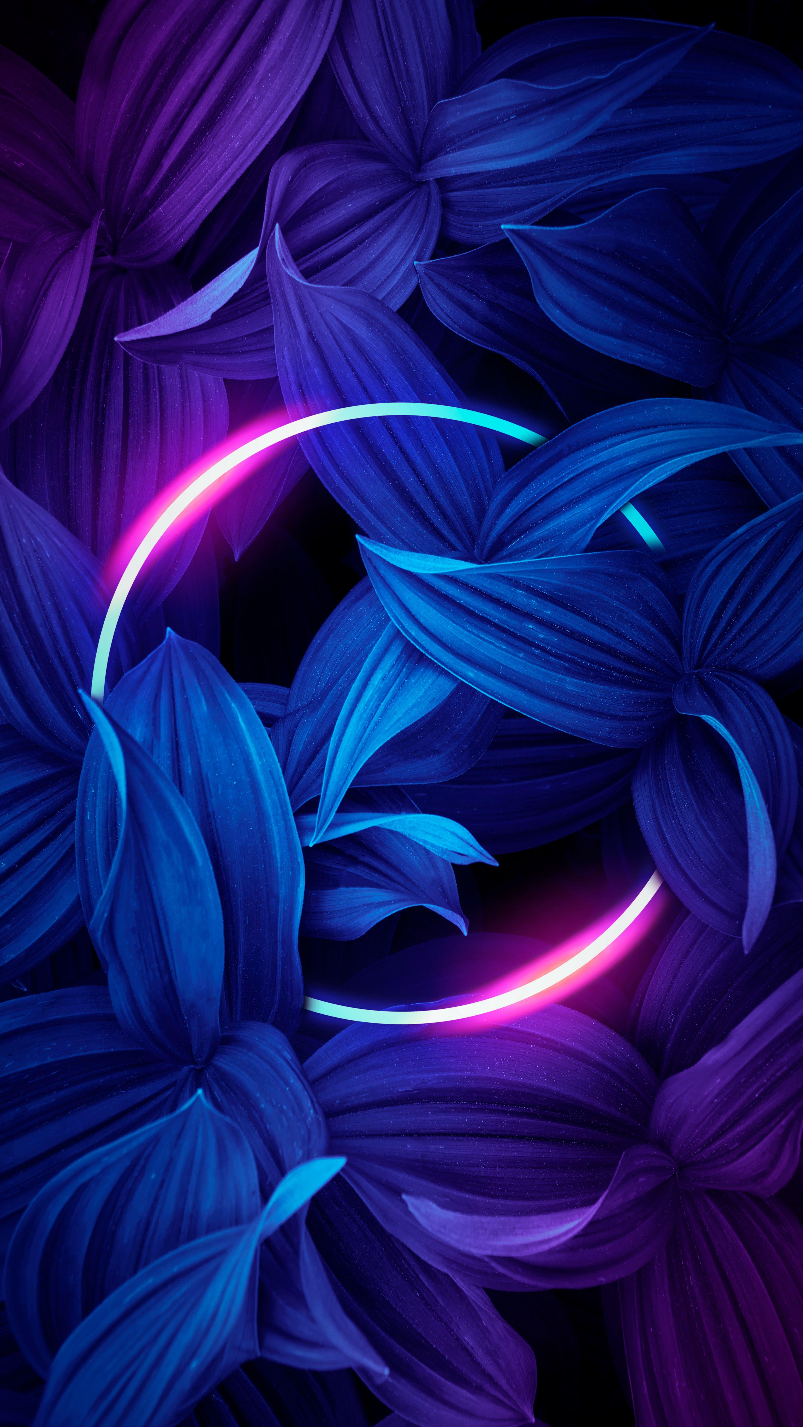 3240 x 5760 · jpeg - Neon light | Iphone wallpaper photos, Nature iphone wallpaper ...