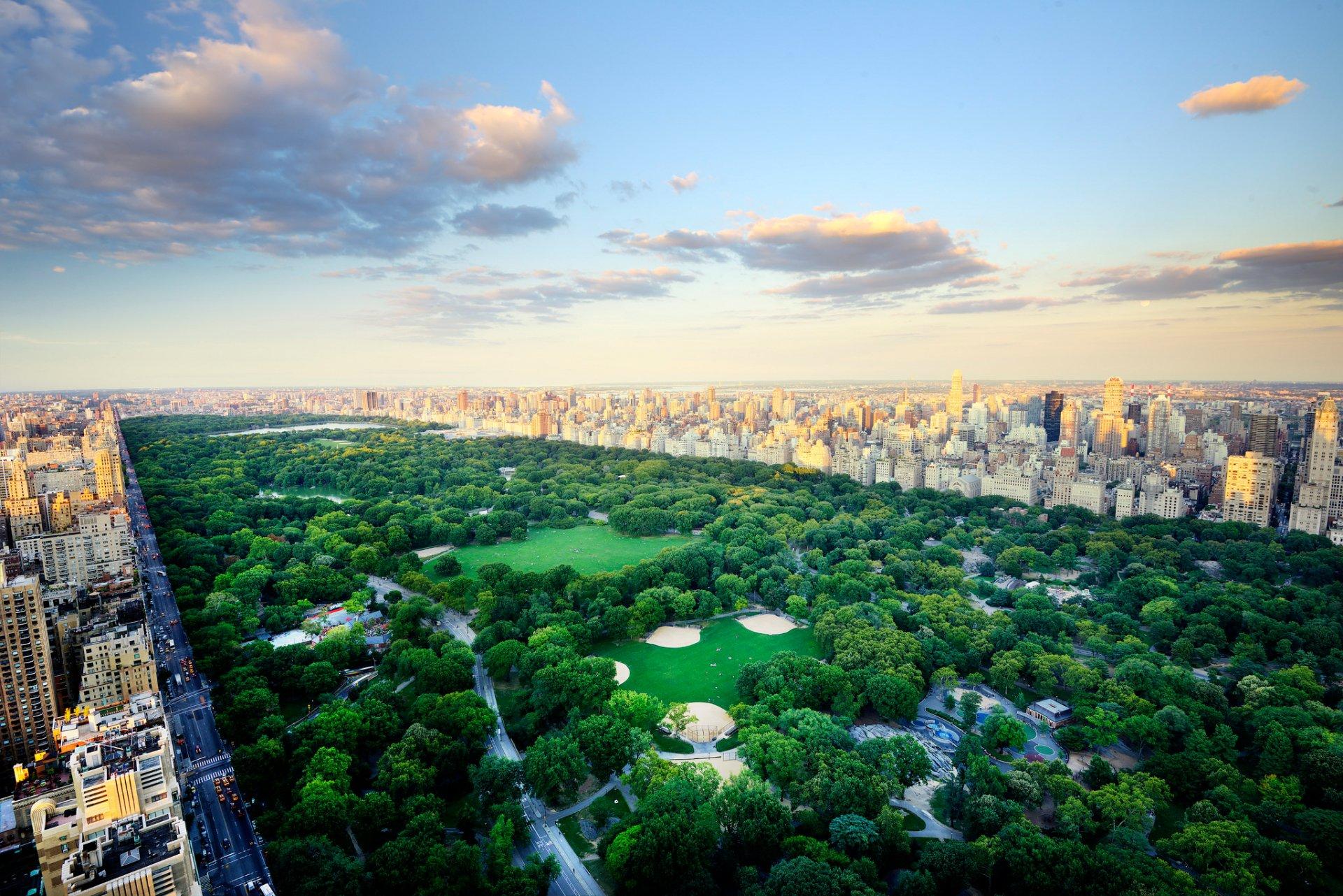 1920 x 1282 · jpeg - Central Park HD Wallpaper | Background Image | 2048x1367 | ID:800601 ...