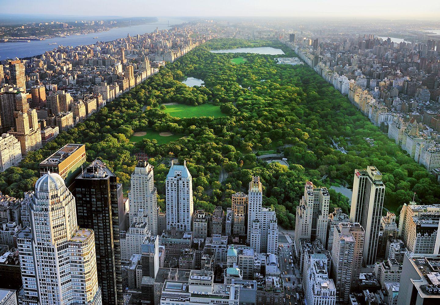 1441 x 1000 · jpeg - Central Park New York Wallpapers - Top Free Central Park New York ...