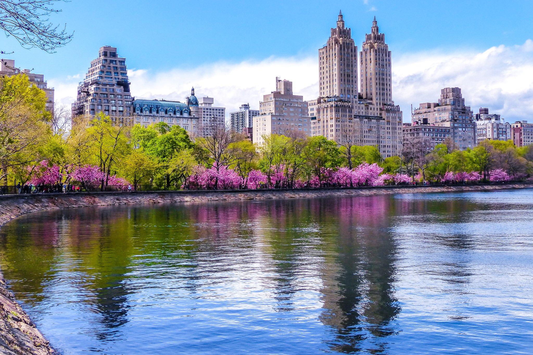 2048 x 1365 · jpeg - usa, Houses, Rivers, Flowering, Trees, Parks, New, York, City, Central ...