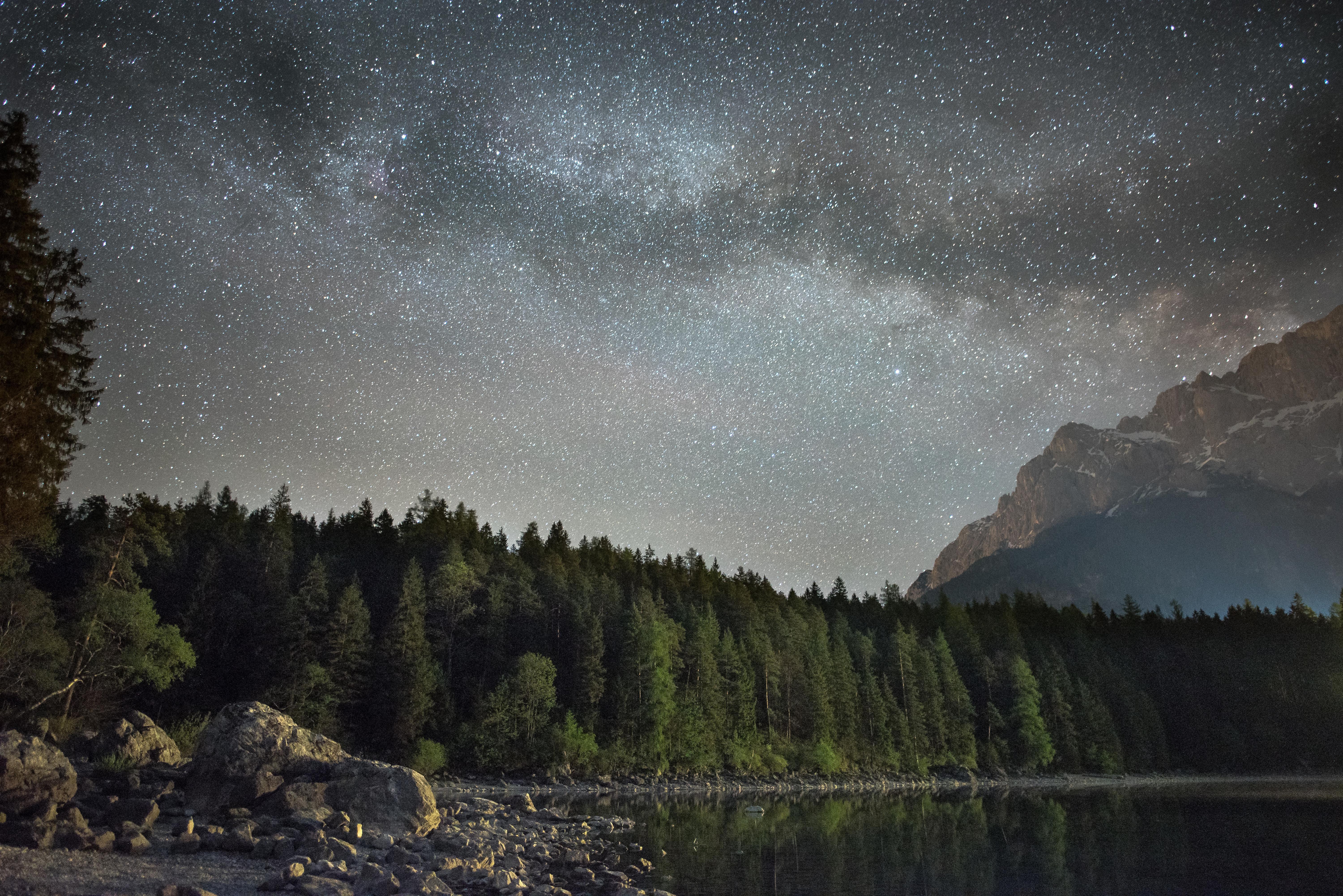 6000 x 4005 · jpeg - forest, Starry night, Trees, Lake, Mountains, Landscape, Nature ...