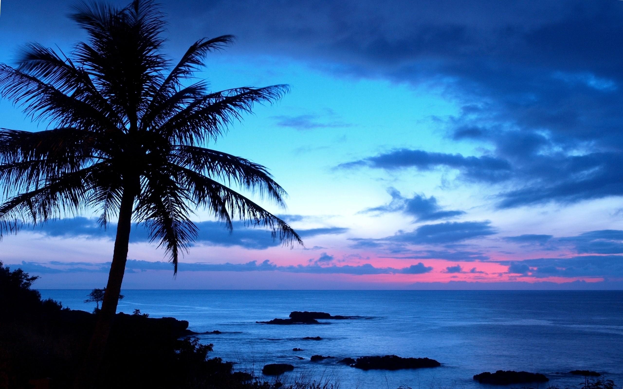 2560 x 1600 · jpeg - Hawaii Ocean Wallpaper (45+ images)