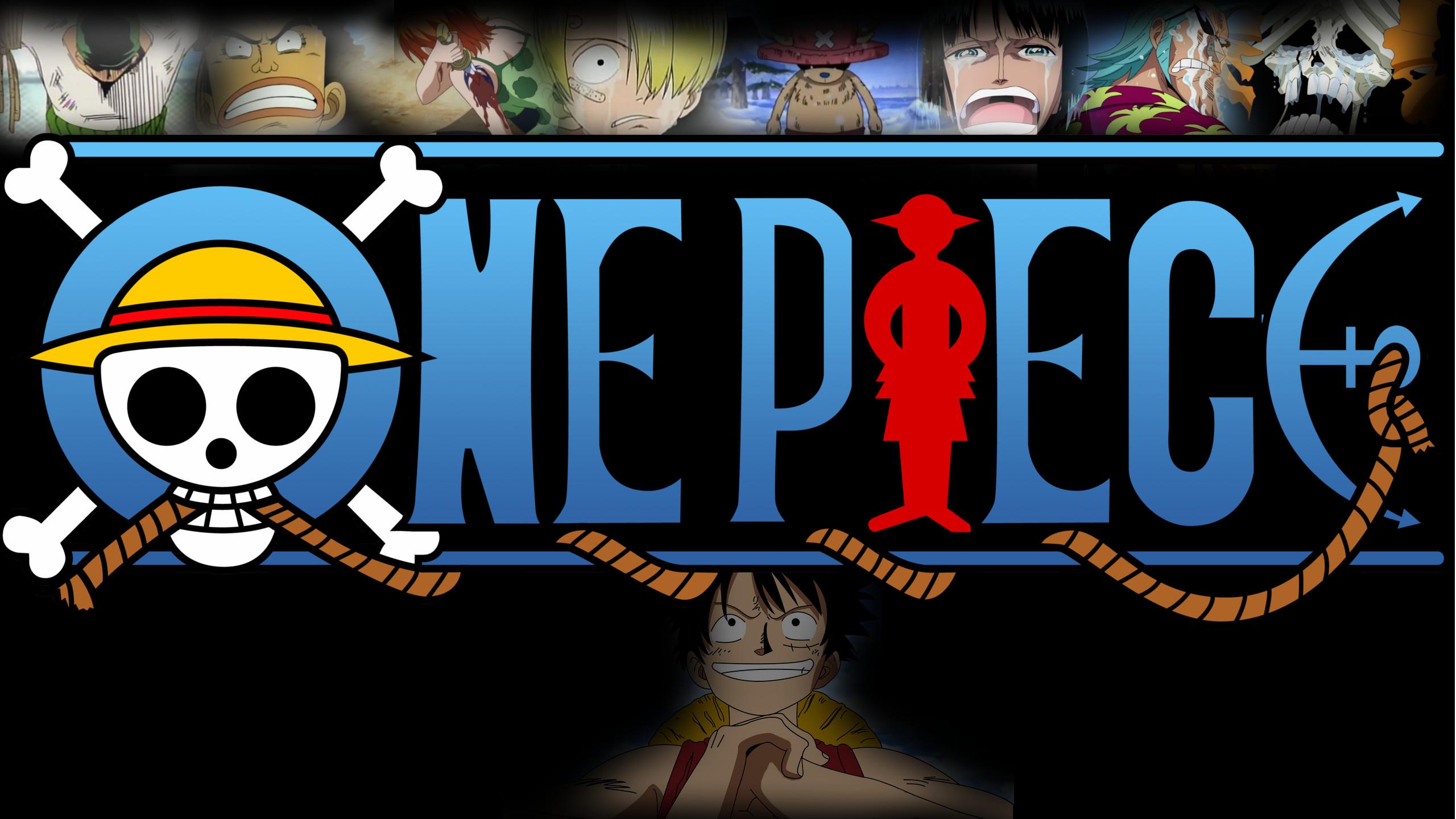 2560 x 1440 · jpeg - One Piece Logo Wallpaper (65+ images)