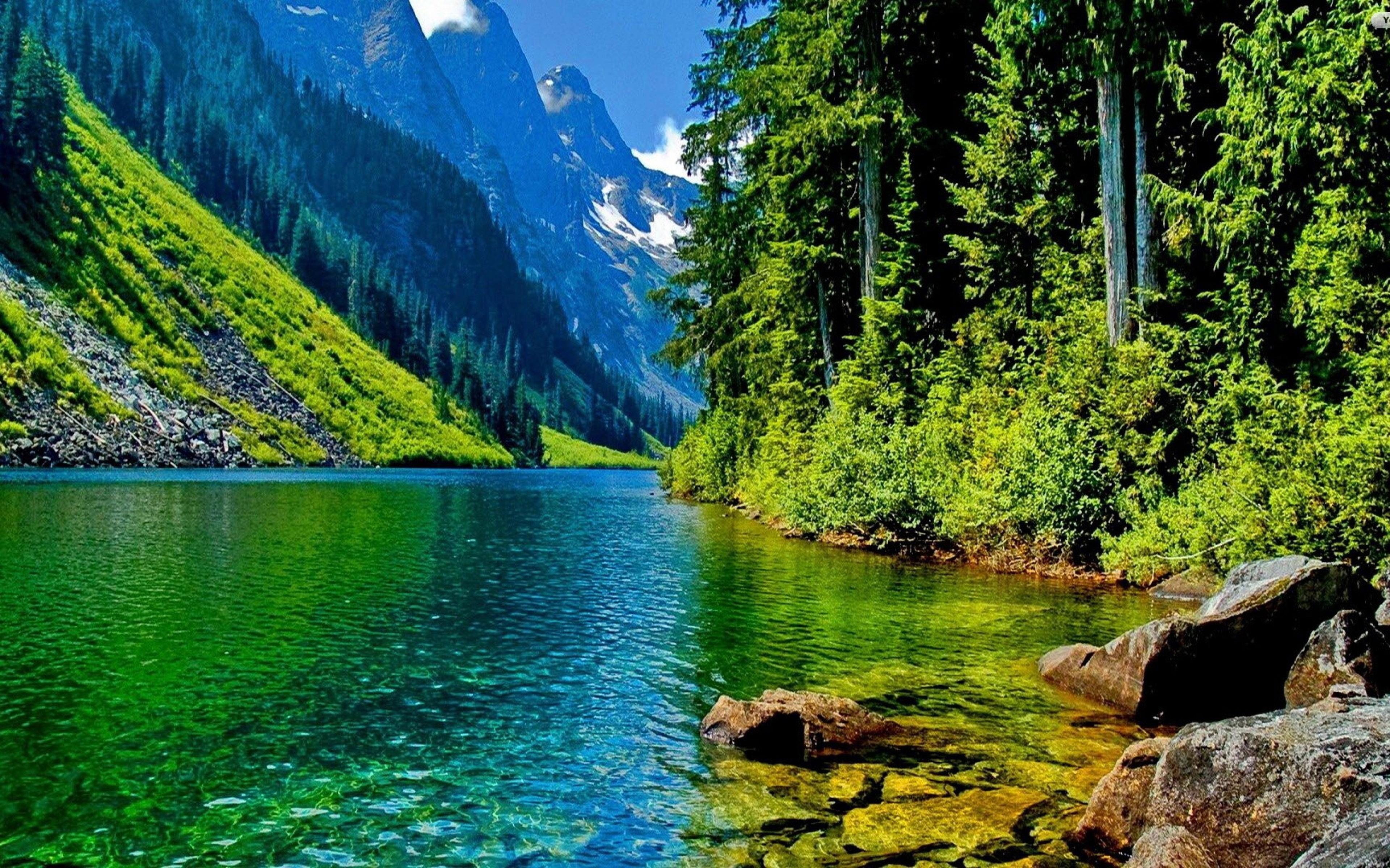 3840 x 2400 · jpeg - Forest Mountain River Nature Desktop Wallpaper