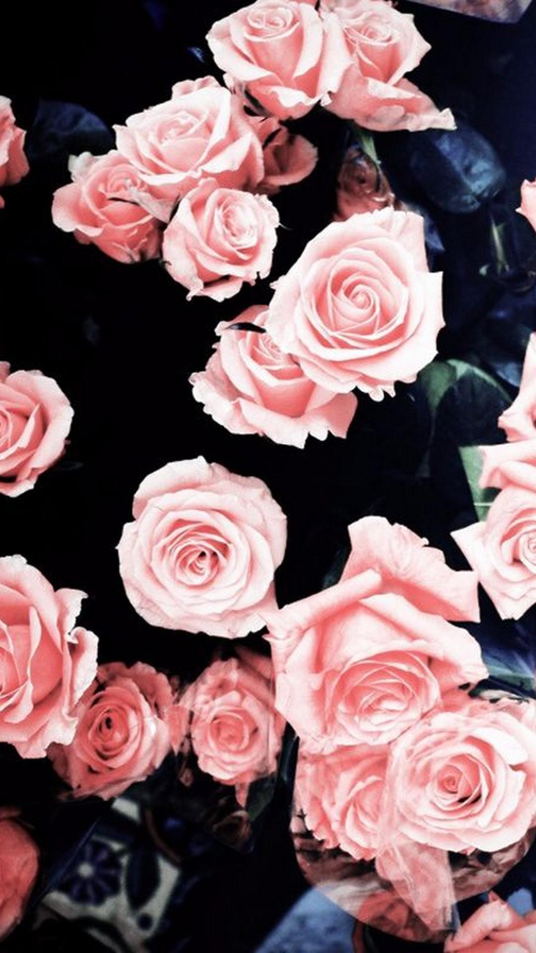 1080 x 1920 · jpeg - Aesthetic Pink Roses Wallpapers - Wallpaper Cave