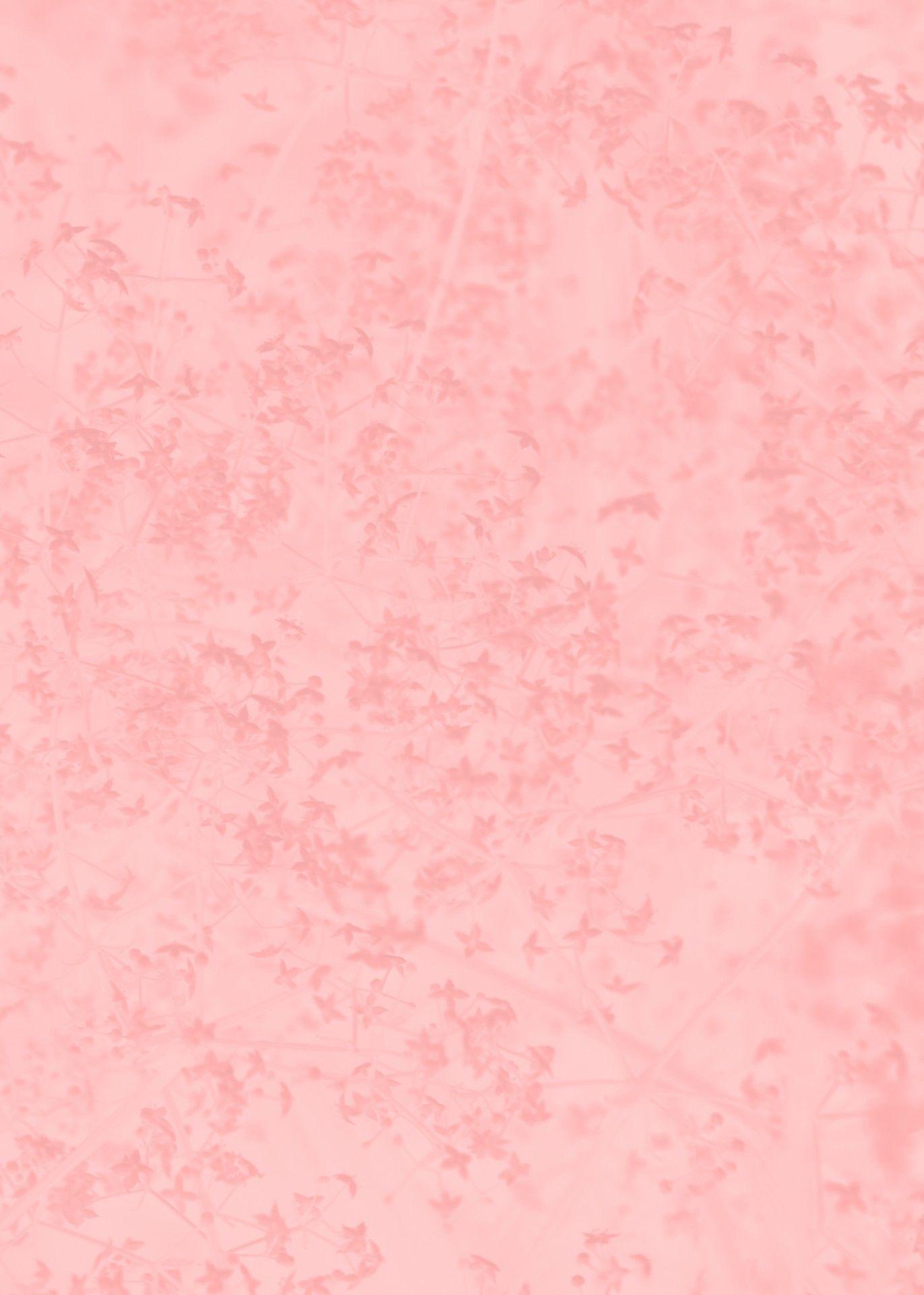 1371 x 1920 · jpeg - Soft Pink Backgrounds - Wallpaper Cave