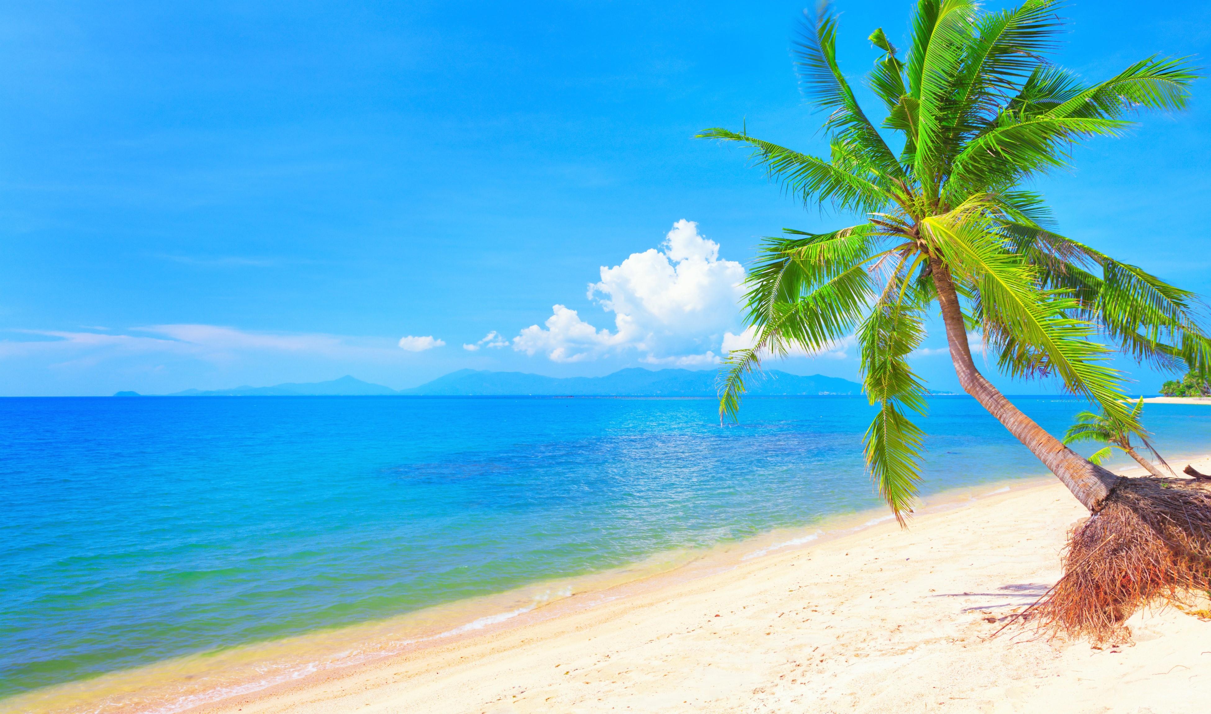 3901 x 2300 · jpeg - Tropical Beach 4k Ultra HD Wallpaper | Background Image | 3901x2300
