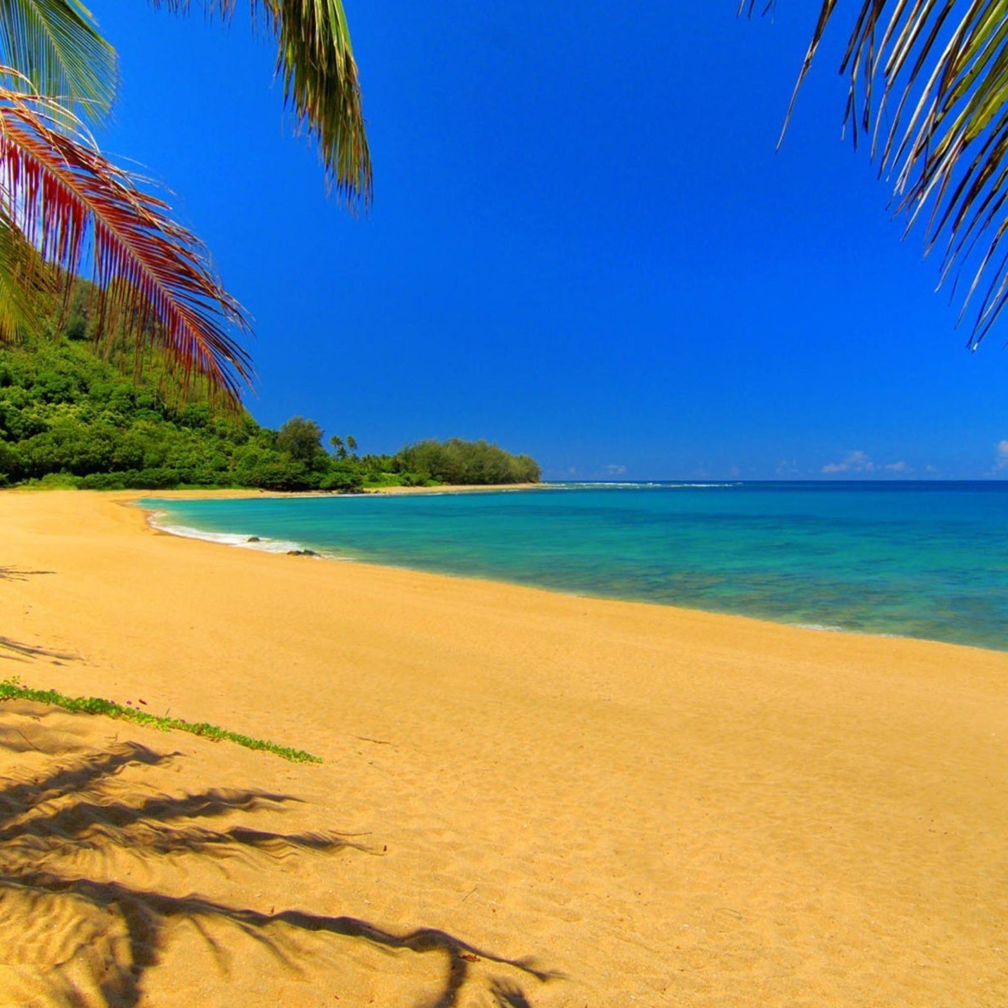 2048 x 2048 · jpeg - paisaje de la playa | wallpaper.sc iPad Tablet