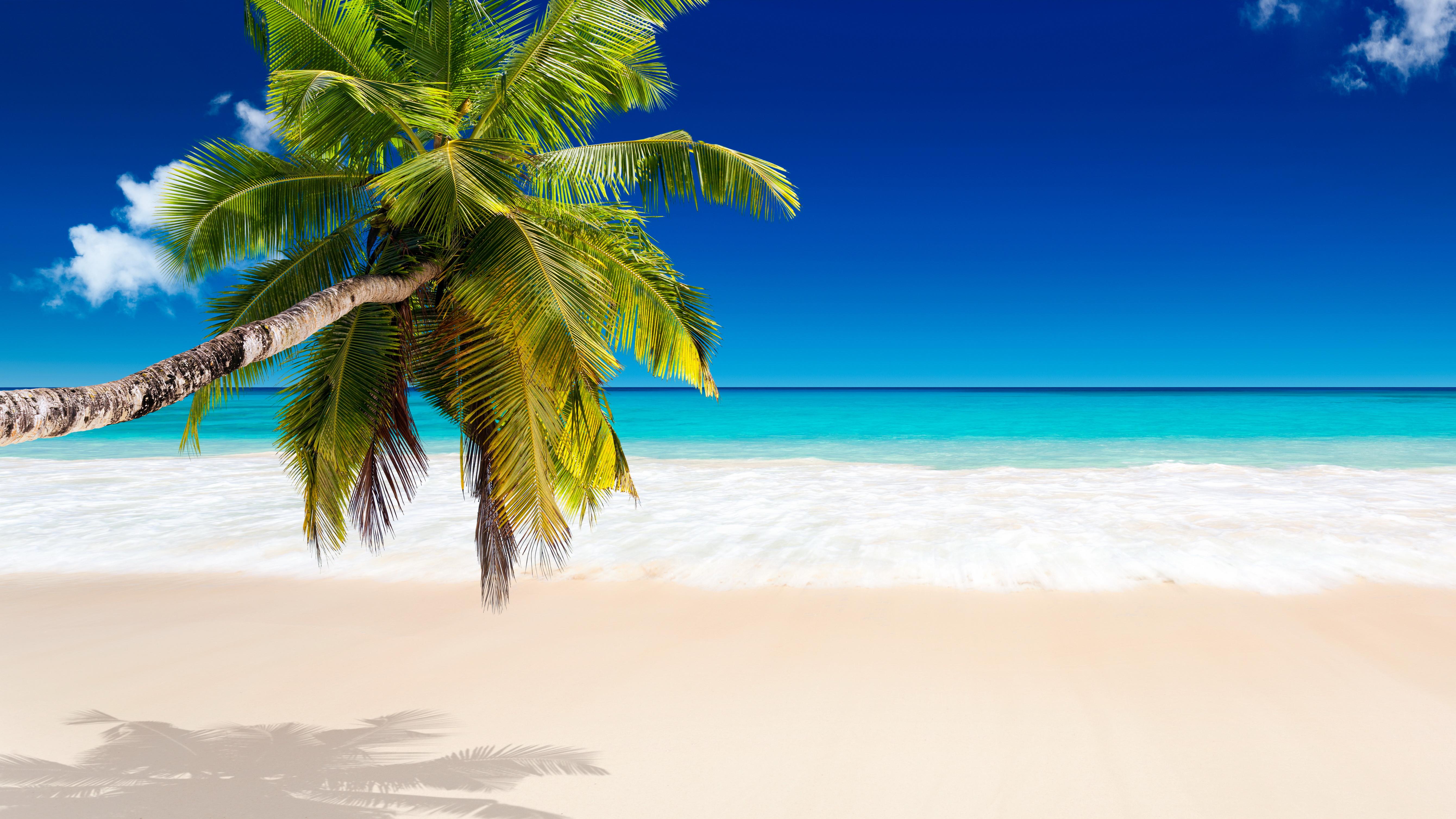5360 x 3015 · jpeg - Tropical Beach Wallpapers, Pictures, Images